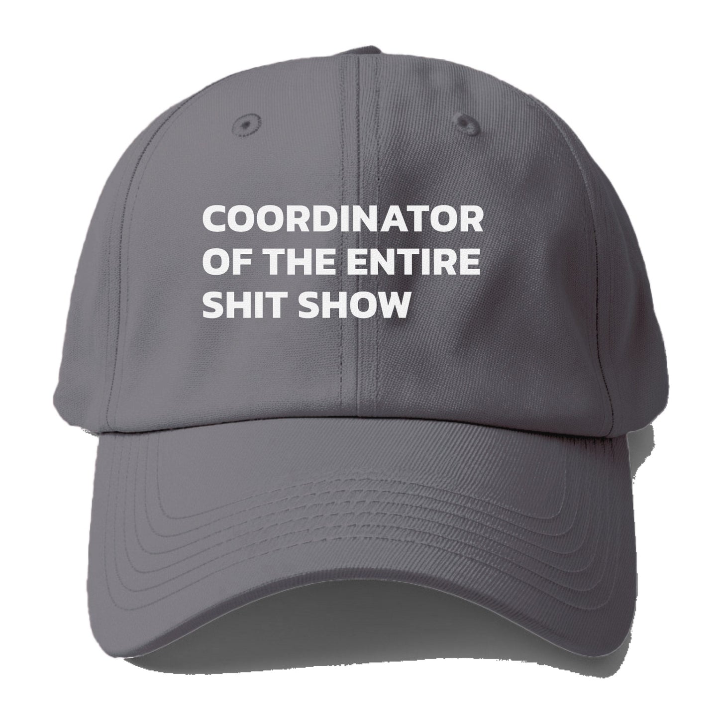 Coordinator Of The Entire Shit Show Baseball Cap