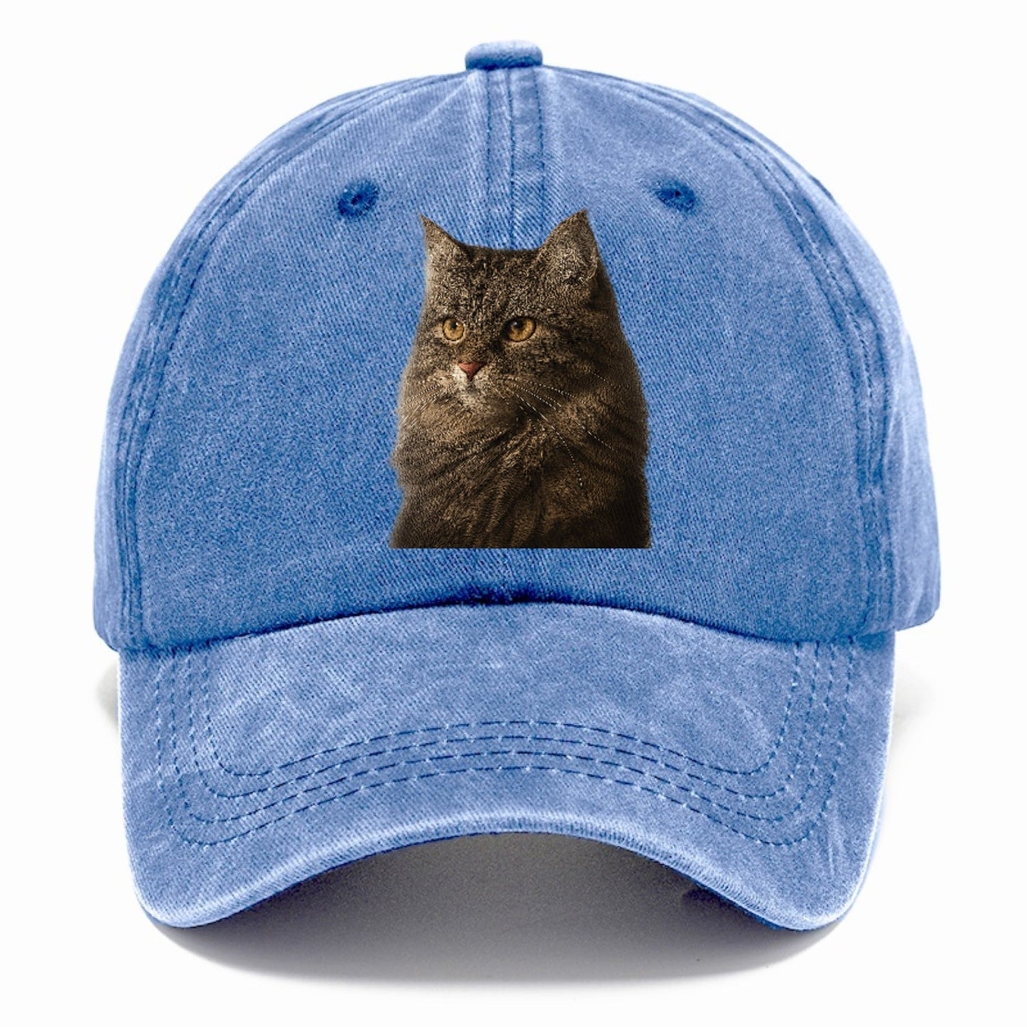 Domestic Longhair Graceful Charm Classic Cap