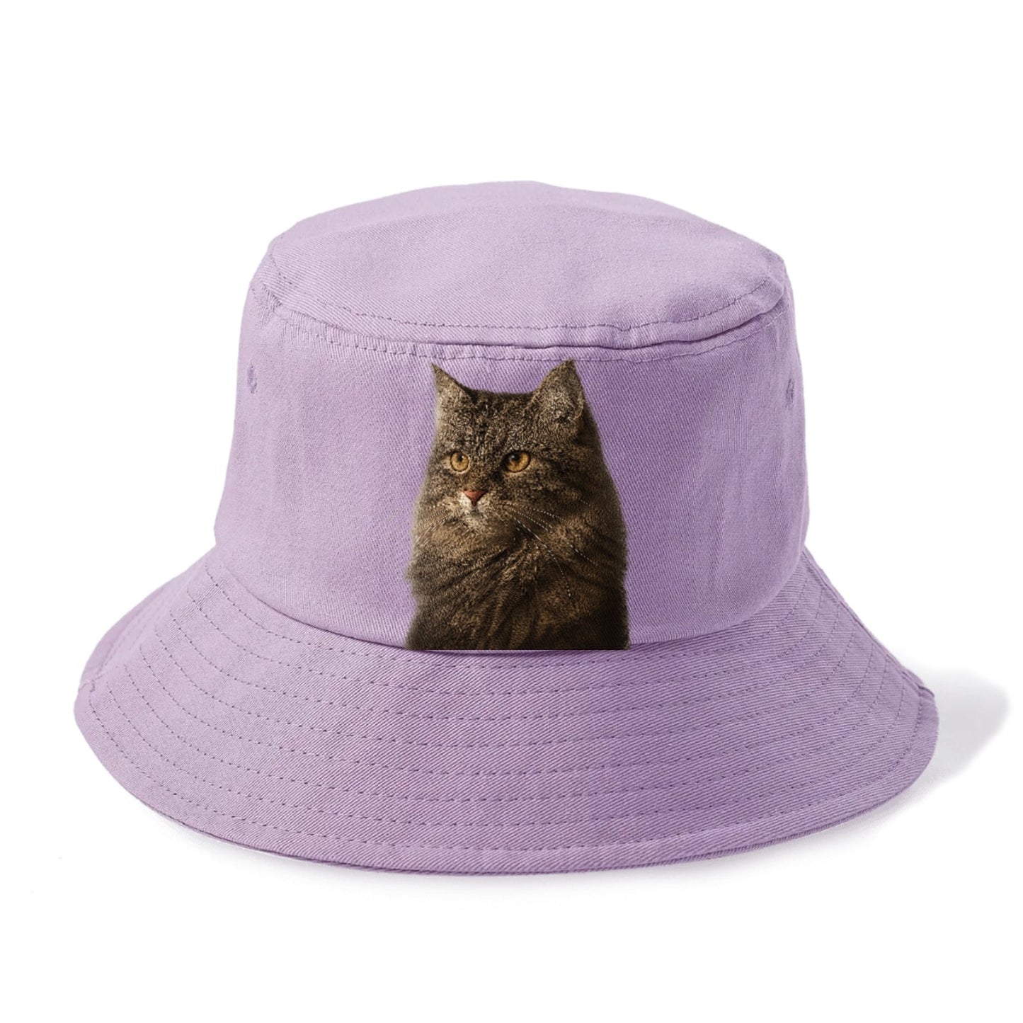 Domestic Longhair Graceful Charm Bucket Hat