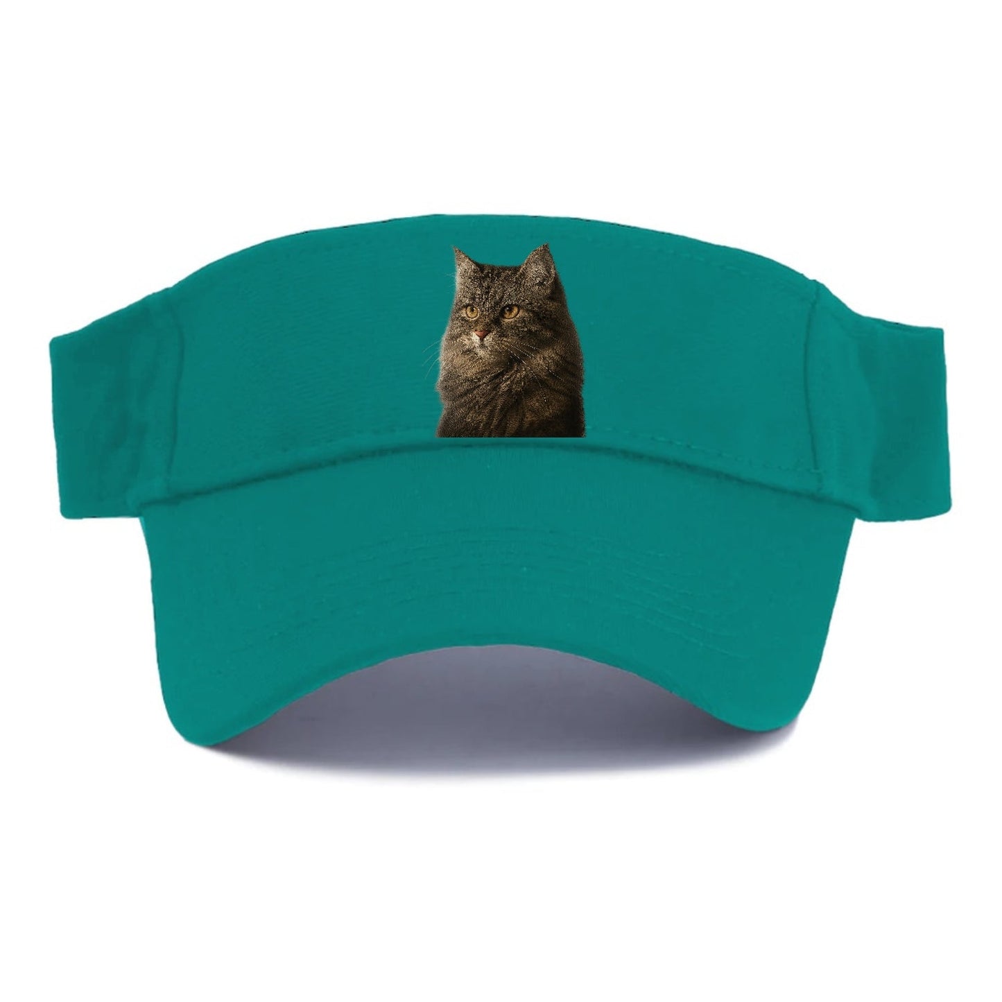 Domestic Longhair Graceful Charm Visor