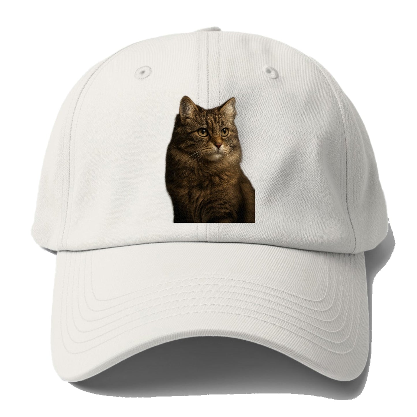 Domestic Longhair Graceful Flow Baseball Cap