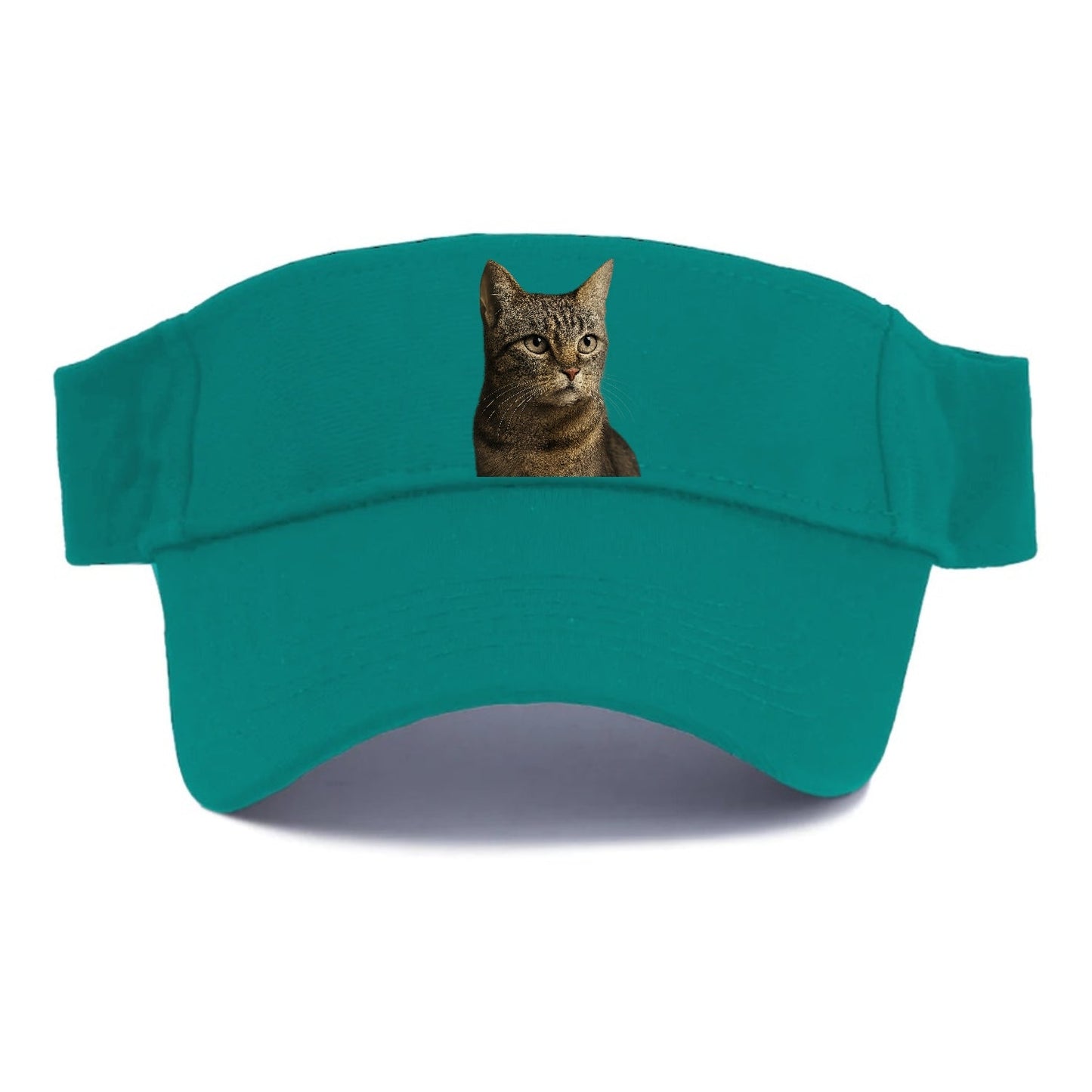 Stray Cat Resilient Spirit Visor