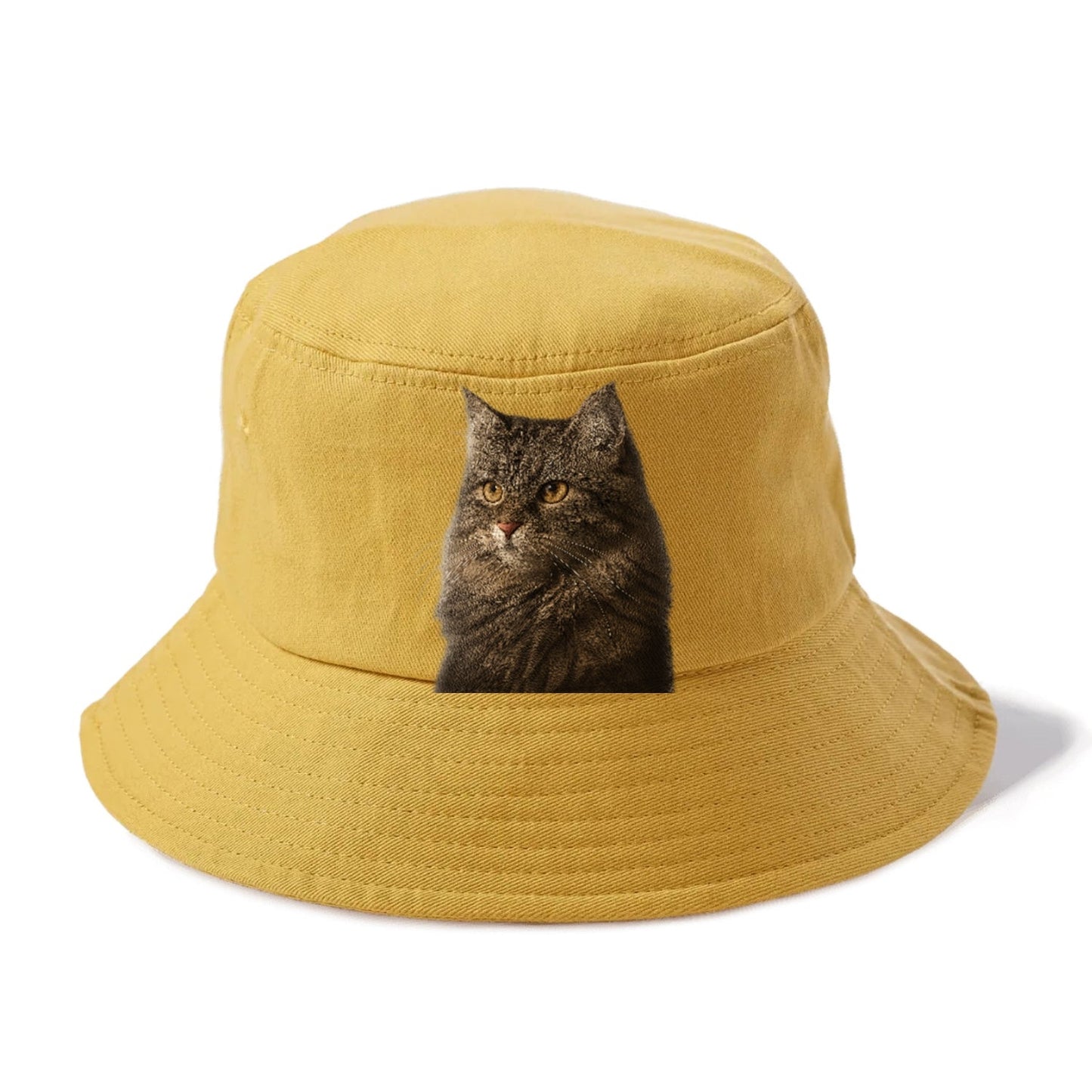 Domestic Longhair Graceful Charm Bucket Hat