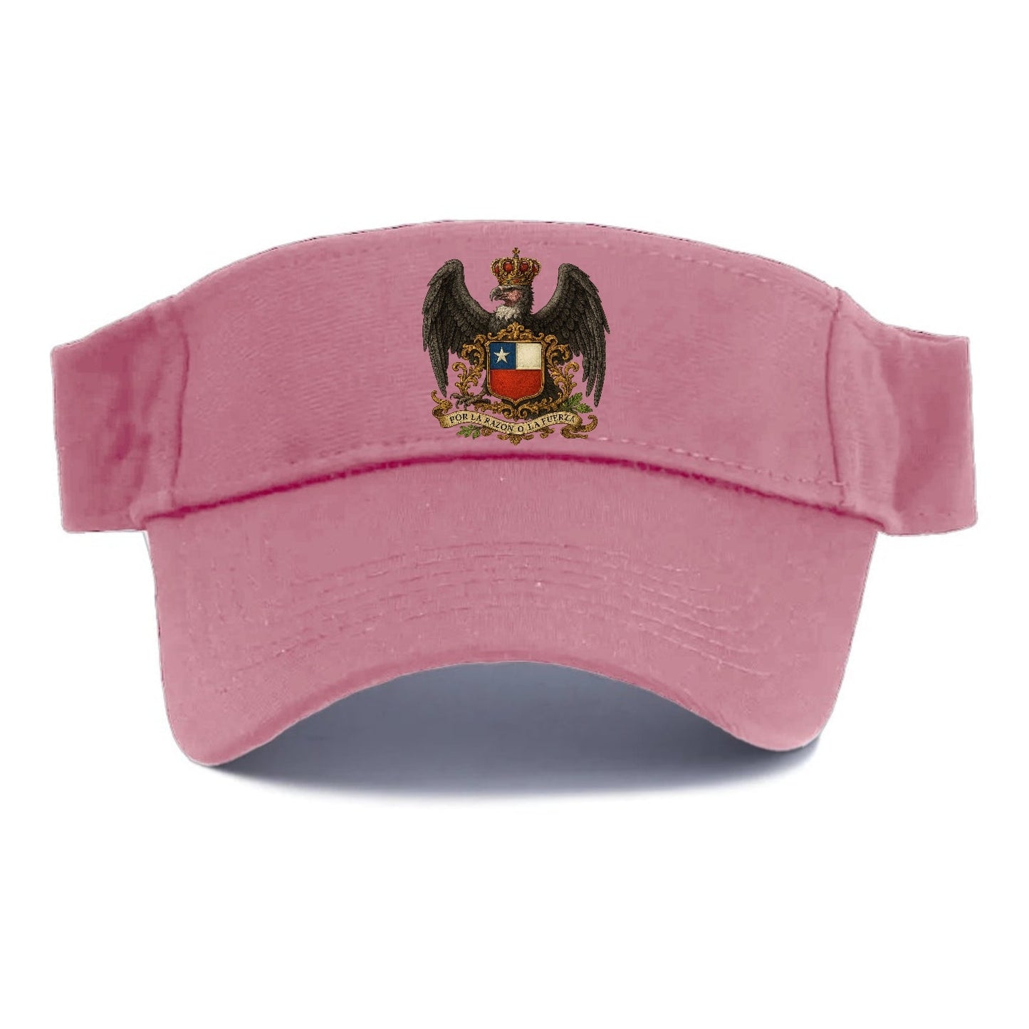 Chile Heritage Condor Badge Visor
