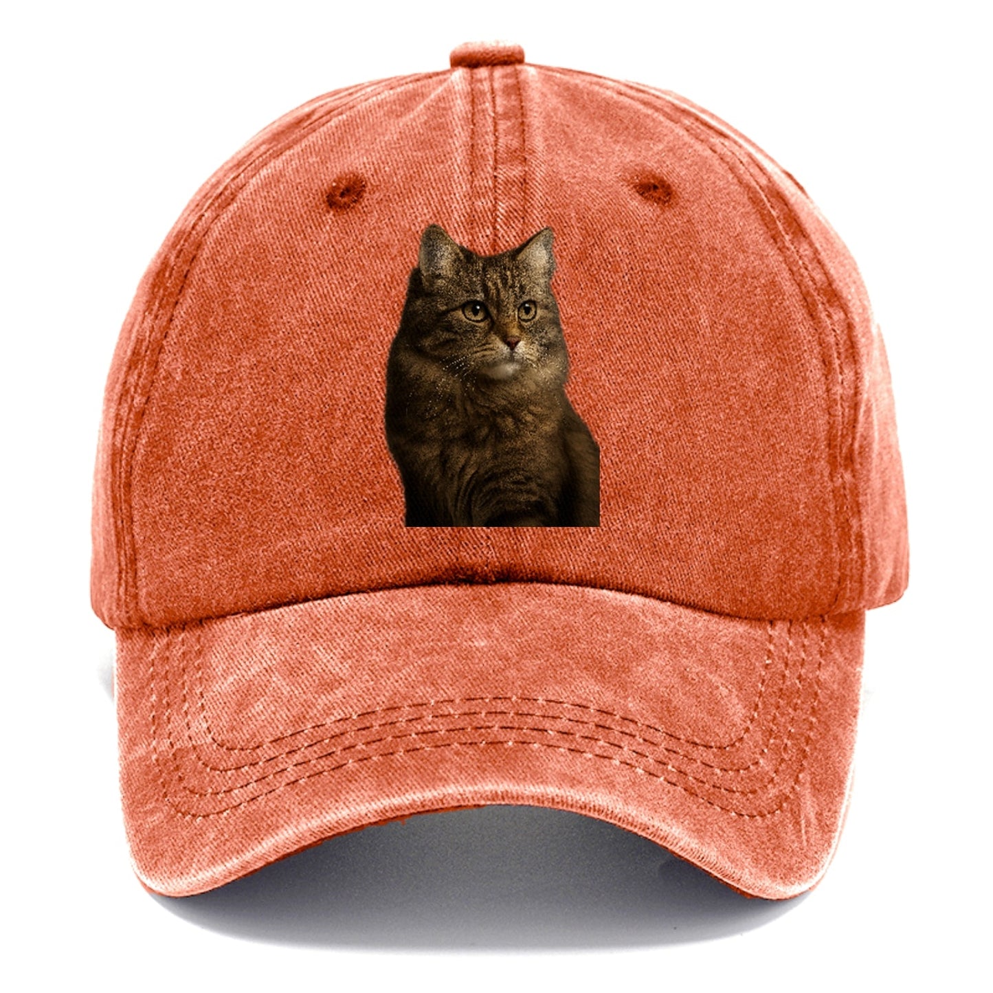 Domestic Longhair Graceful Flow Classic Cap