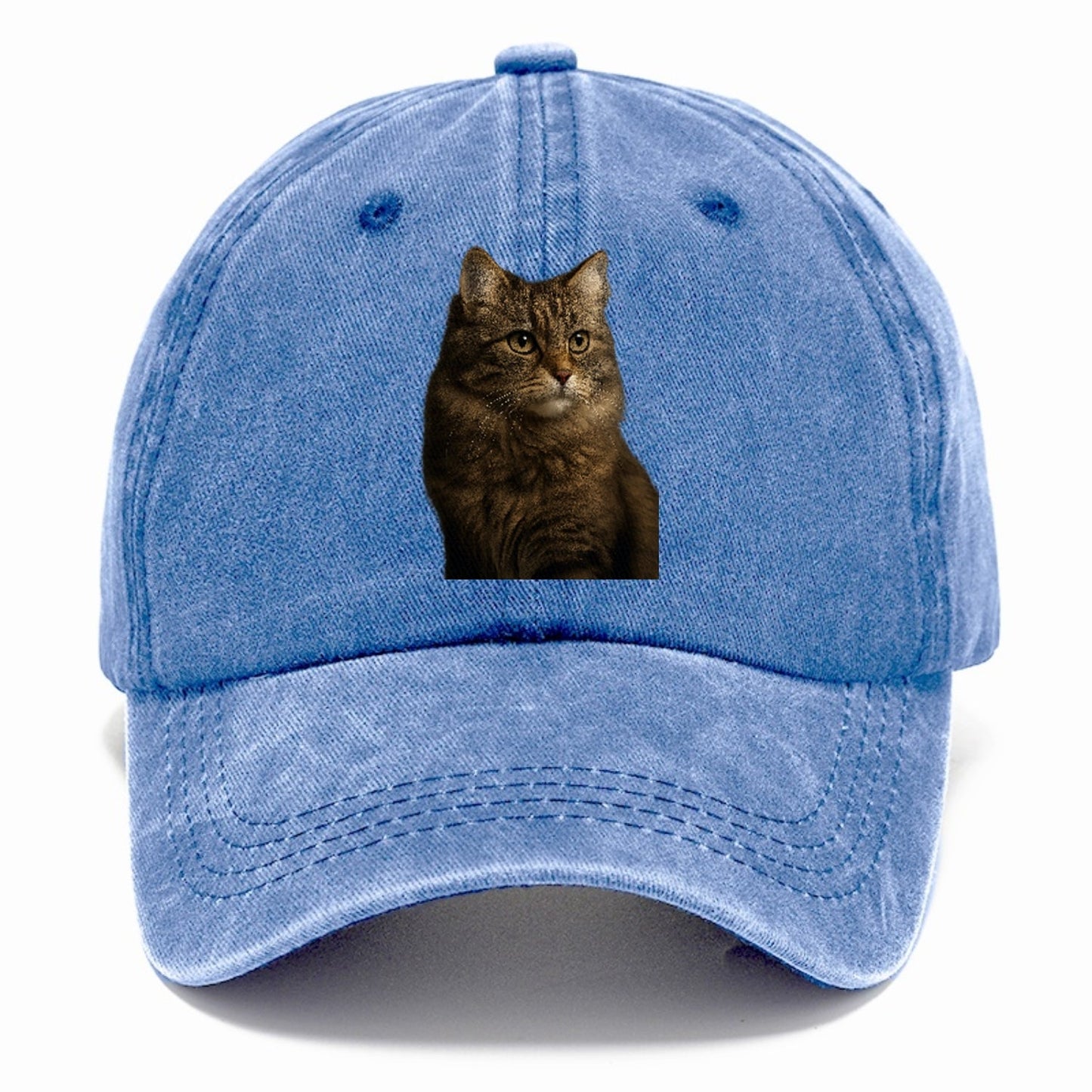 Domestic Longhair Graceful Flow Classic Cap