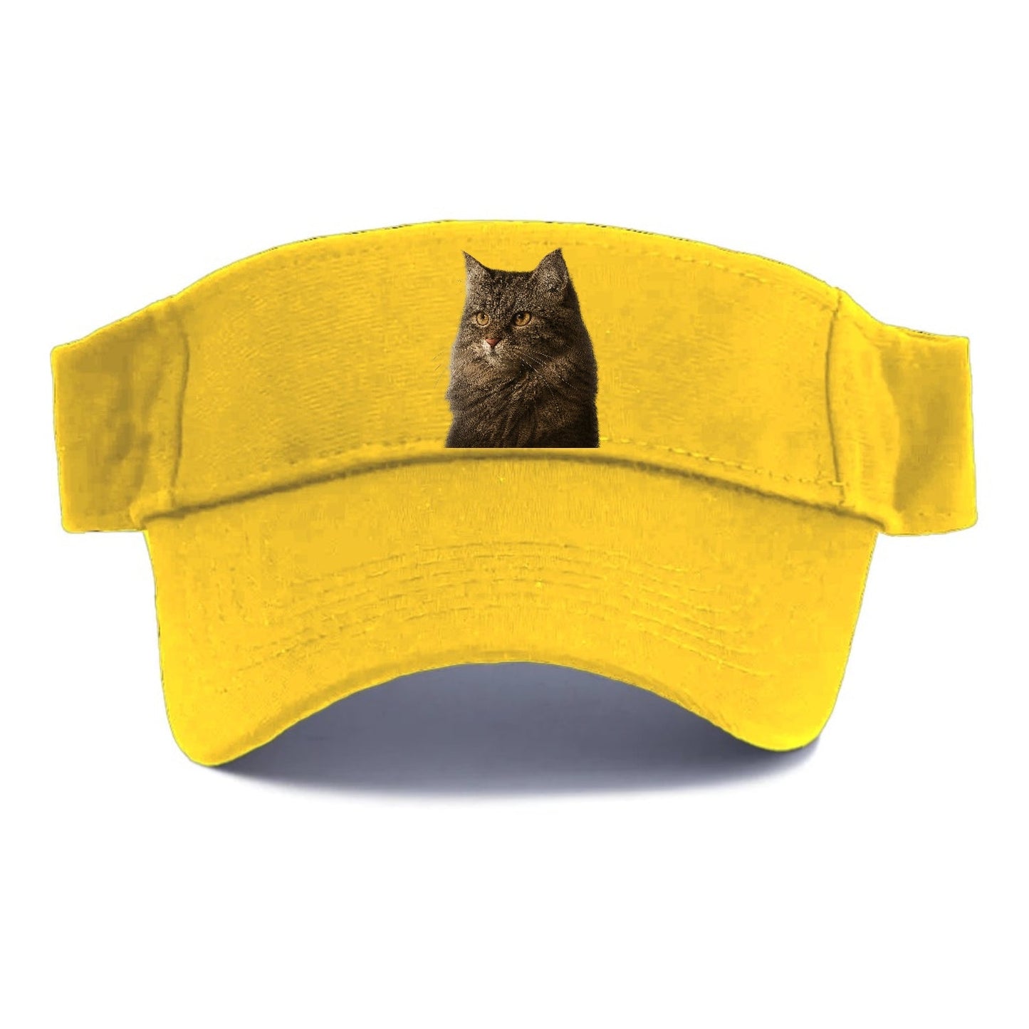 Domestic Longhair Graceful Charm Visor