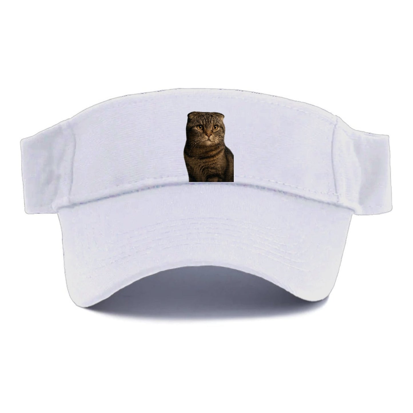 Scottish Fold Curious Charm Visor