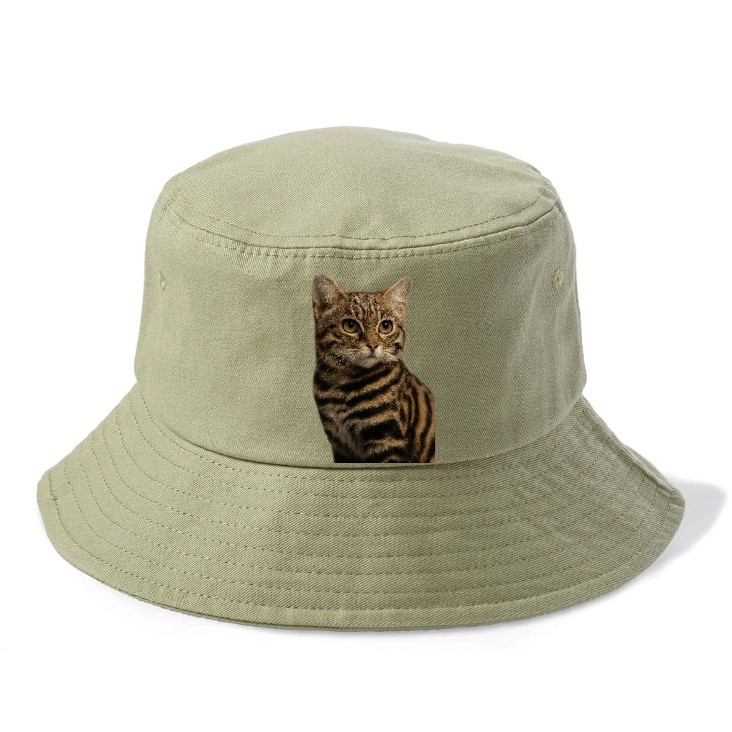 Blackfooted Cat Elusive Hunter Bucket Hat