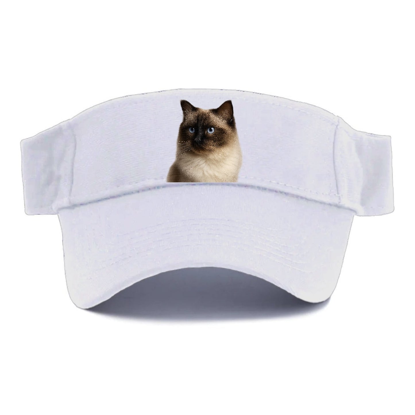 Ragdoll Gentle Demeanor Visor