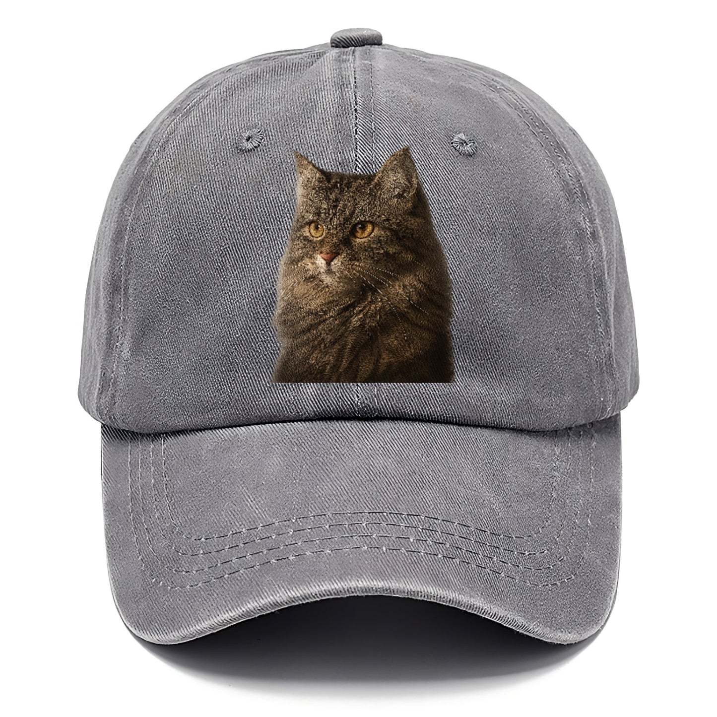 Domestic Longhair Graceful Charm Classic Cap