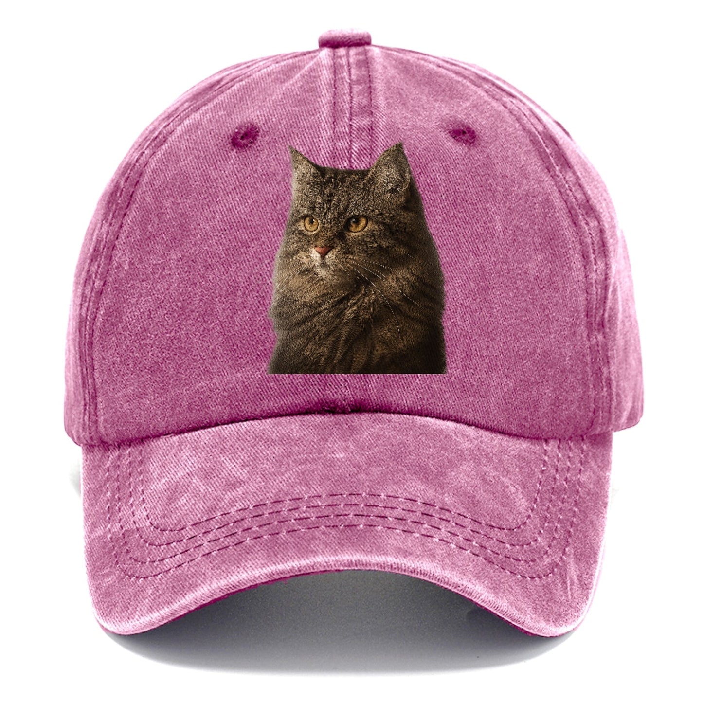 Domestic Longhair Graceful Charm Classic Cap