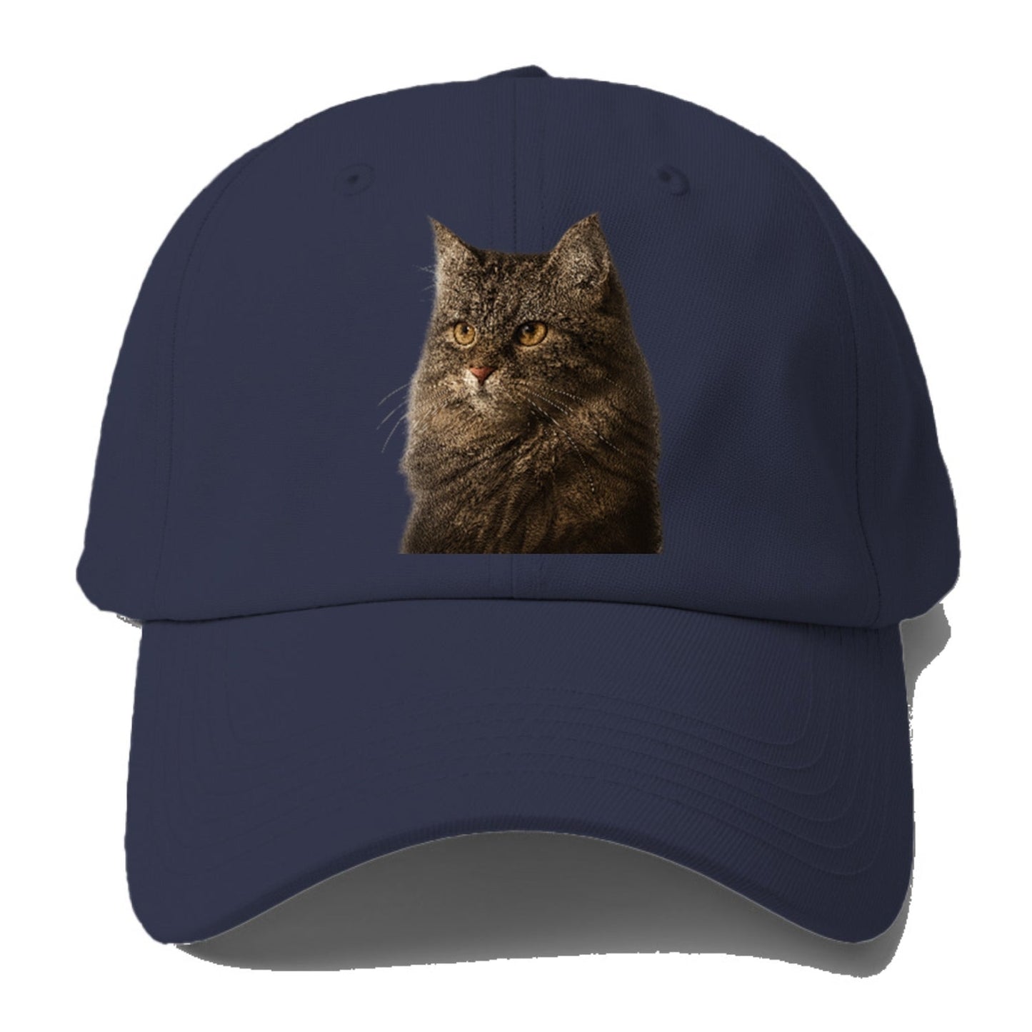 Domestic Longhair Graceful Charm Baseball Cap