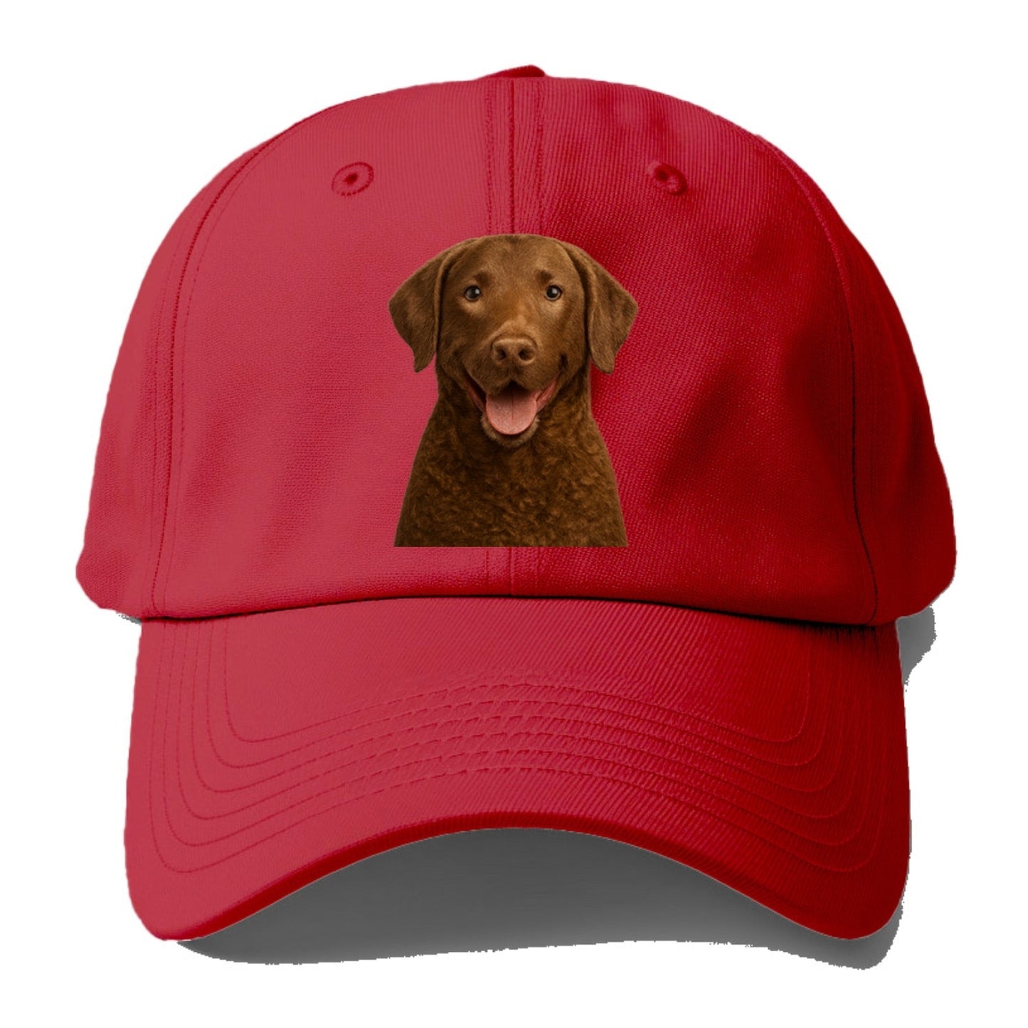 Chesapeake Bay Retriever: Rugged Waterdog Spirit Baseball Cap
