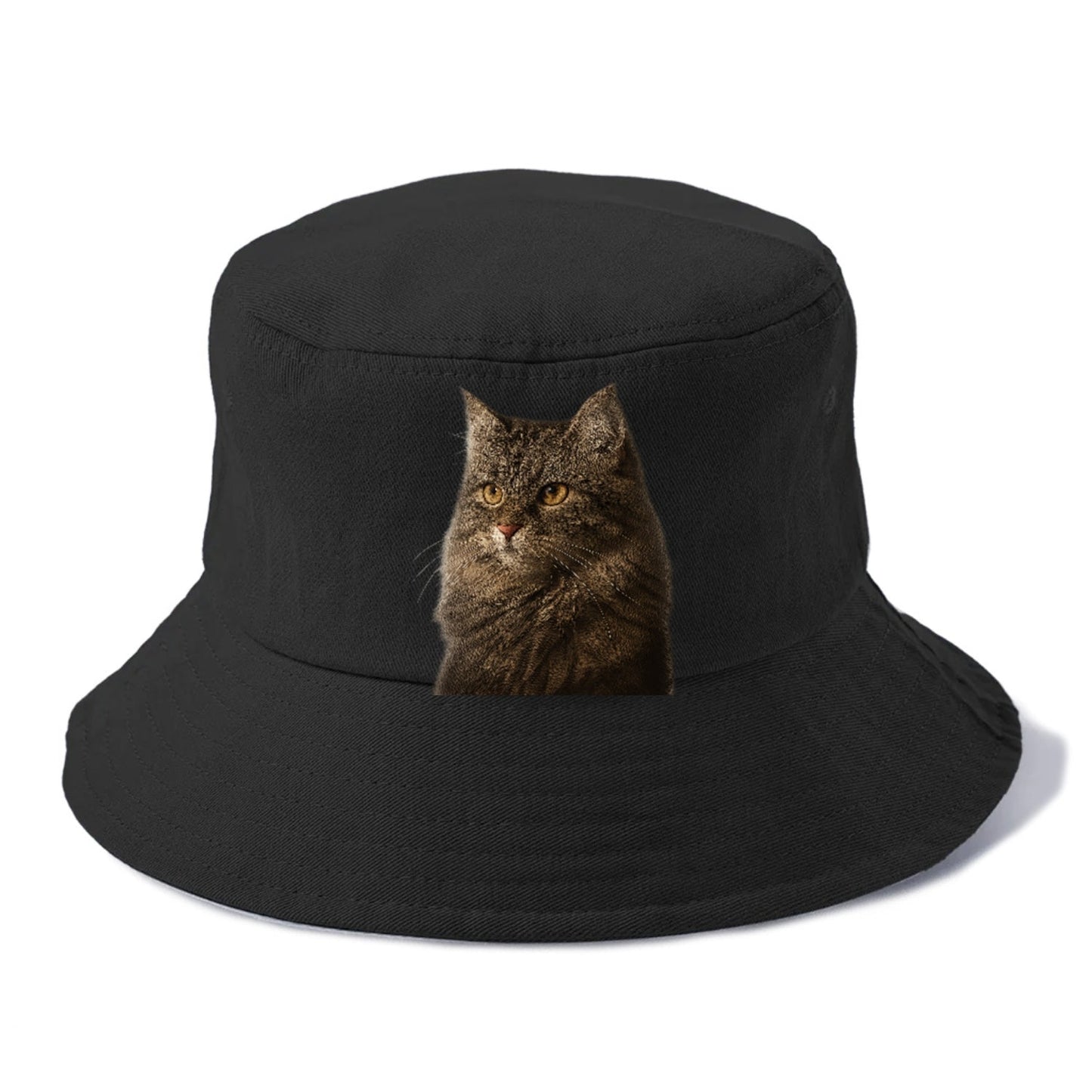 Domestic Longhair Graceful Charm Bucket Hat