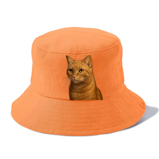 Ginger Cat Playful Spirit Bucket Hat