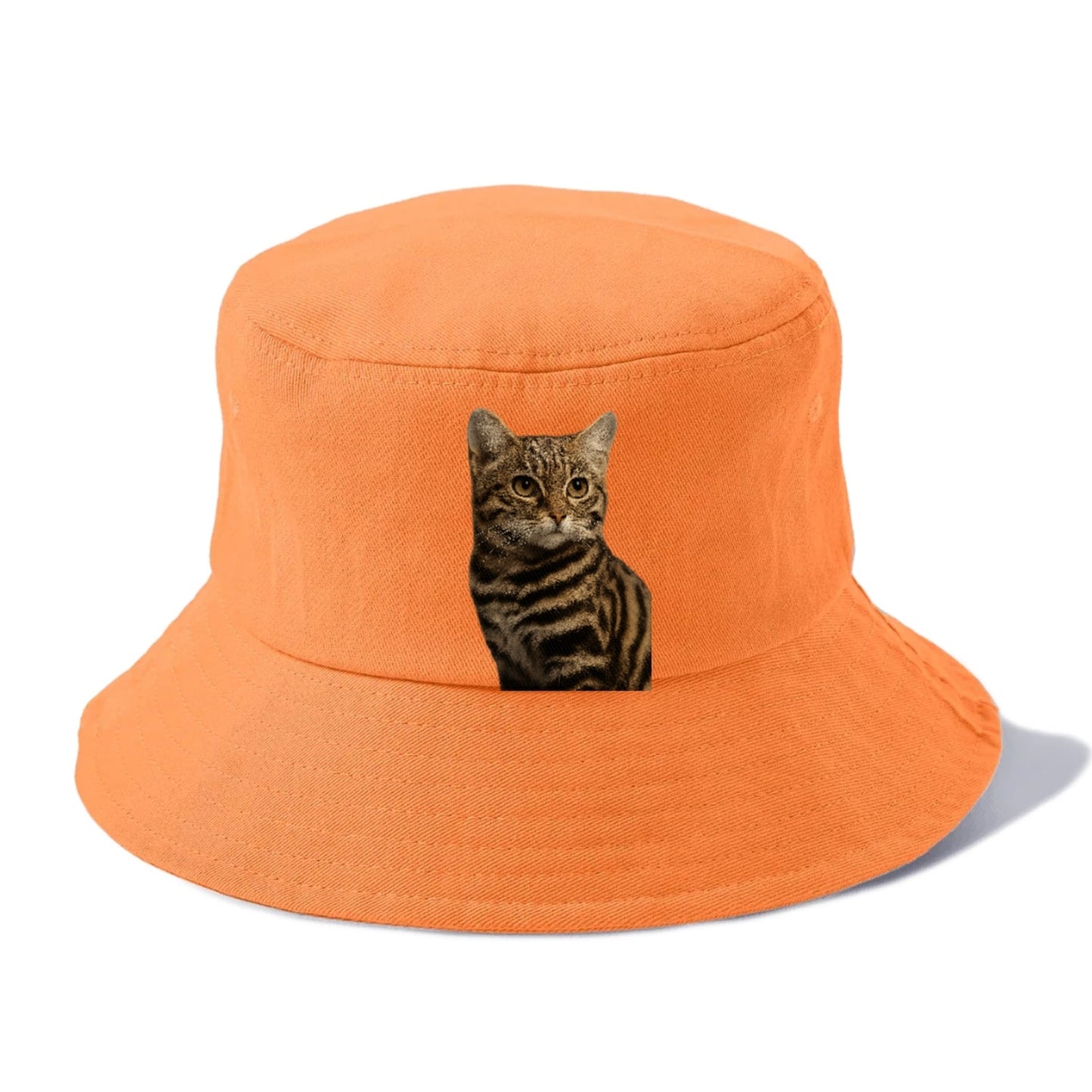 Blackfooted Cat Elusive Hunter Bucket Hat