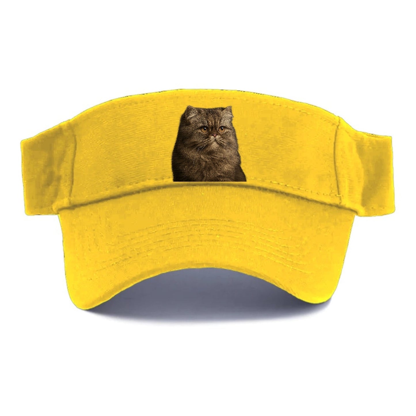 Persian Regal Majesty Visor