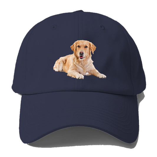 Golden Retriever Laying Down Baseball Cap