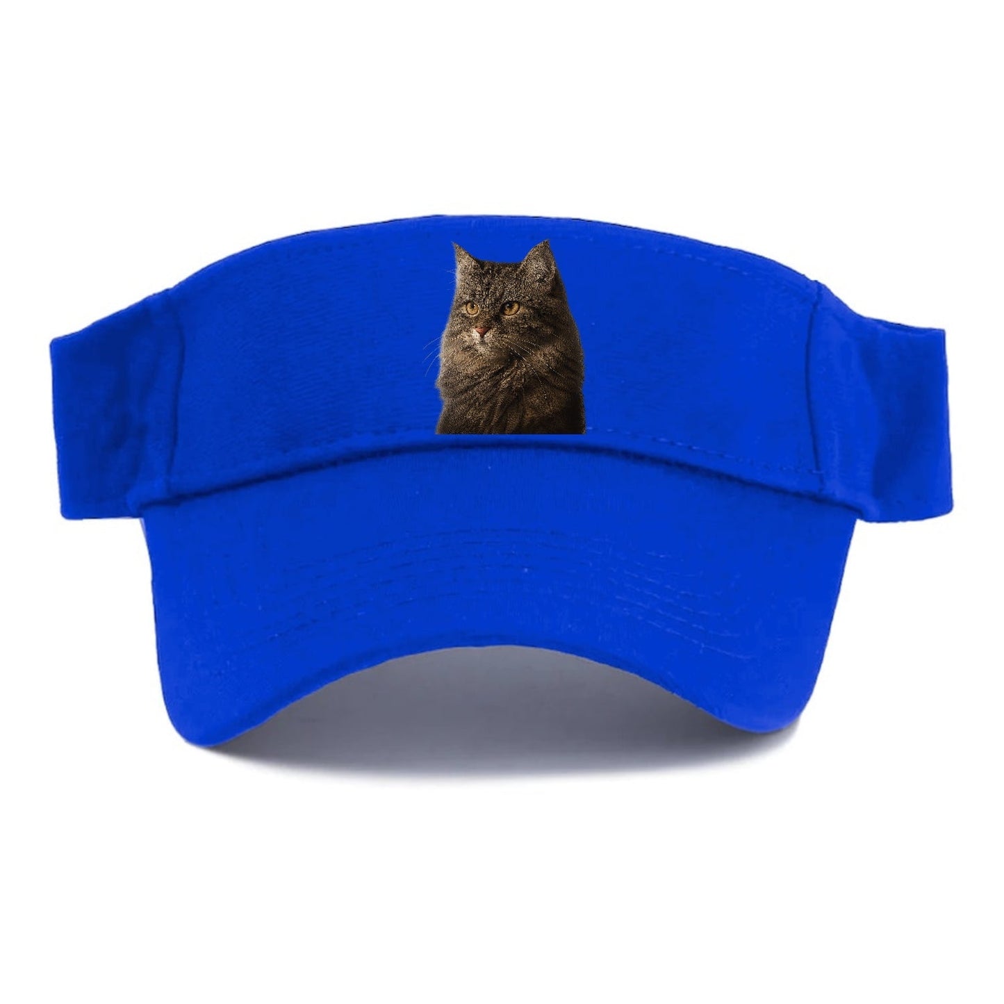 Domestic Longhair Graceful Charm Visor