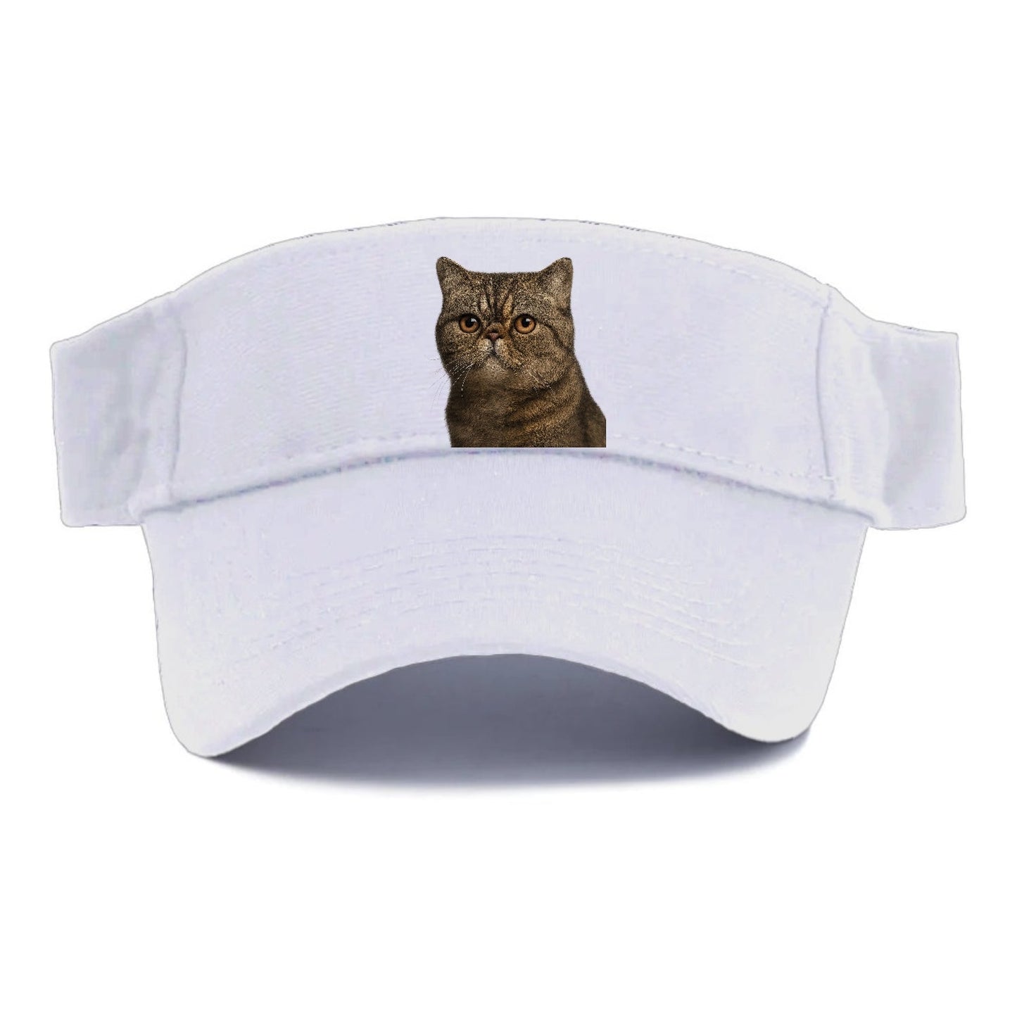Exotic Shorthair Calm Demeanor Visor