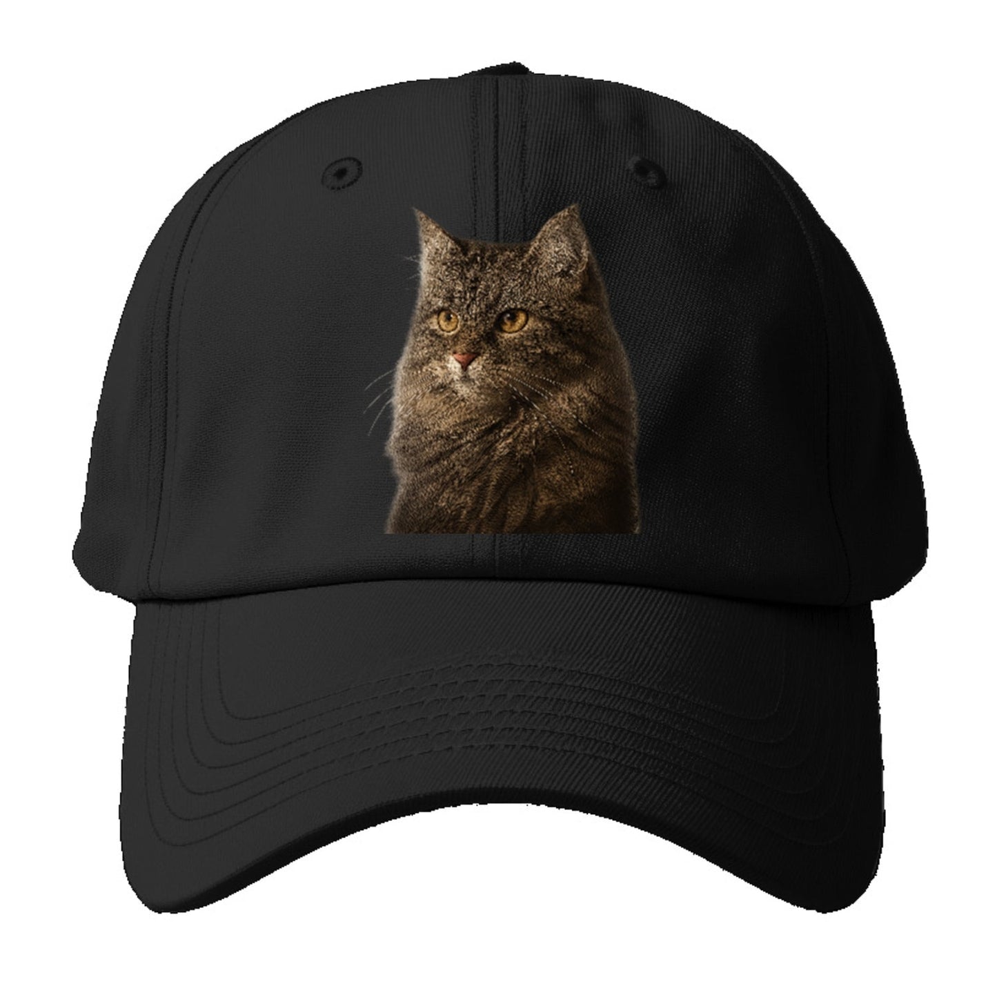 Domestic Longhair Graceful Charm Baseball Cap