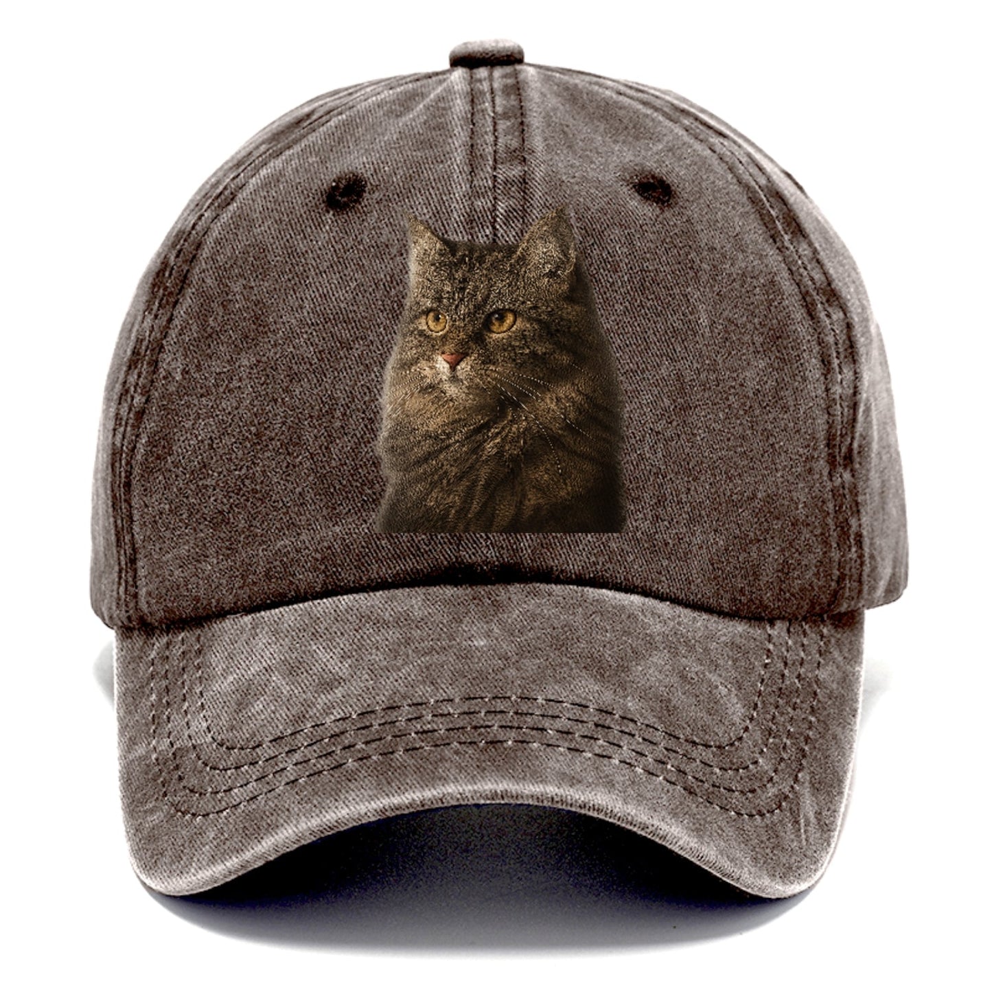 Domestic Longhair Graceful Charm Classic Cap