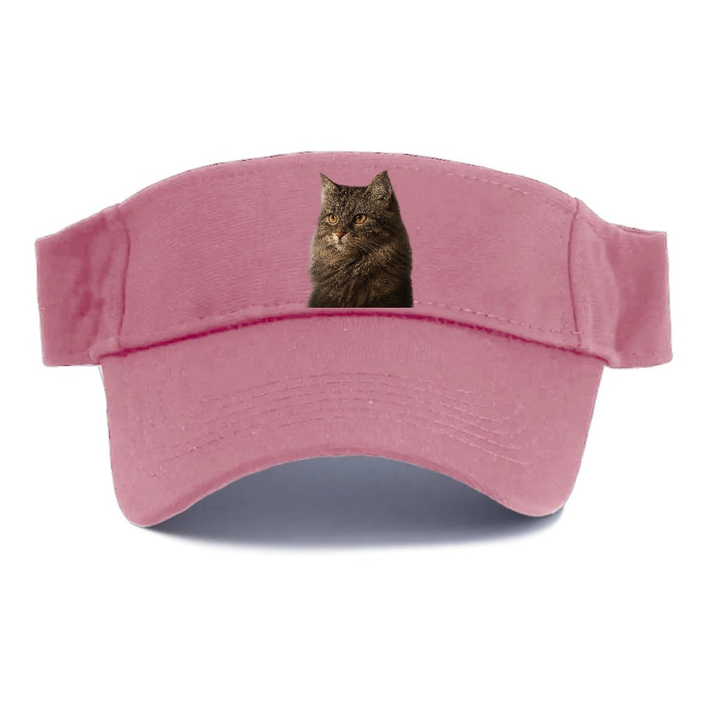 Domestic Longhair Graceful Charm Visor