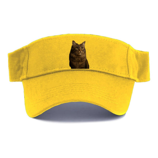 Regal Cymric Charm Visor