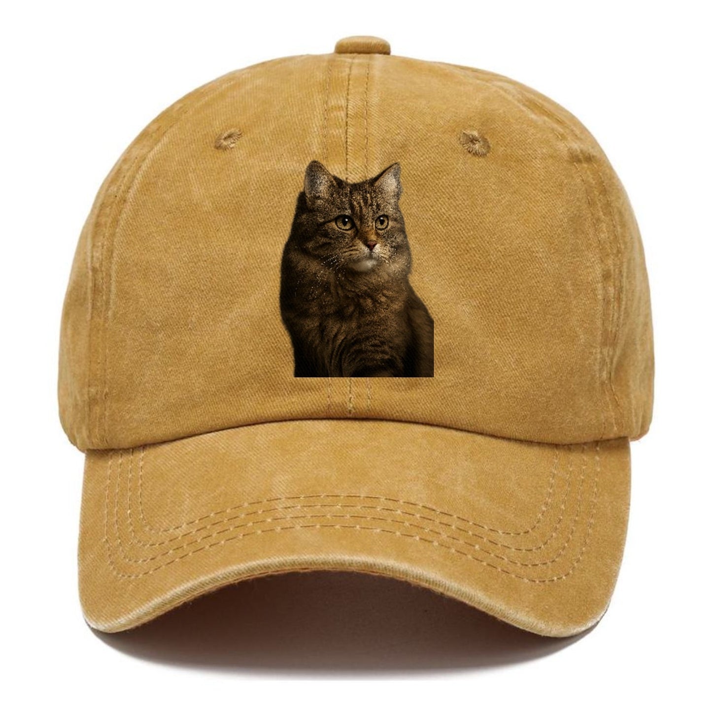 Domestic Longhair Graceful Flow Classic Cap