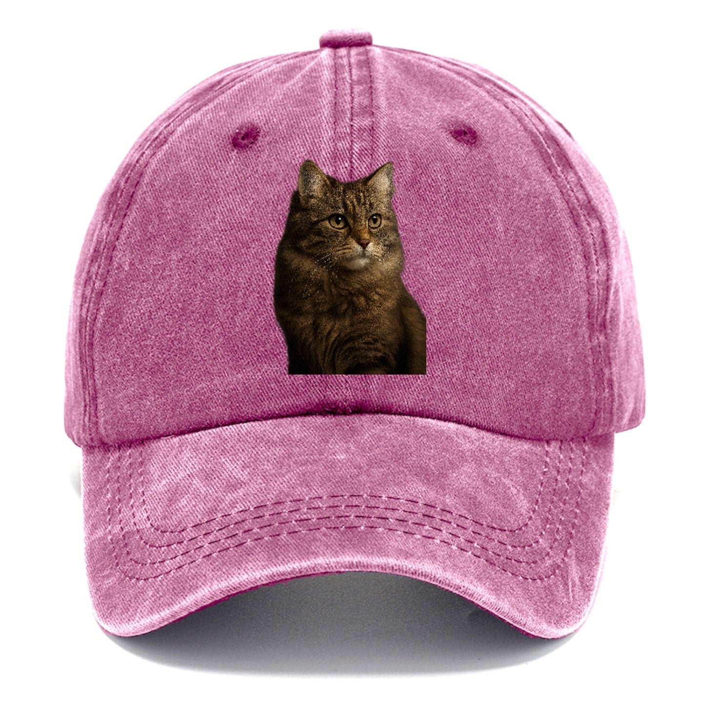 Domestic Longhair Graceful Flow Classic Cap