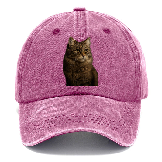 Domestic Longhair Graceful Flow Classic Cap