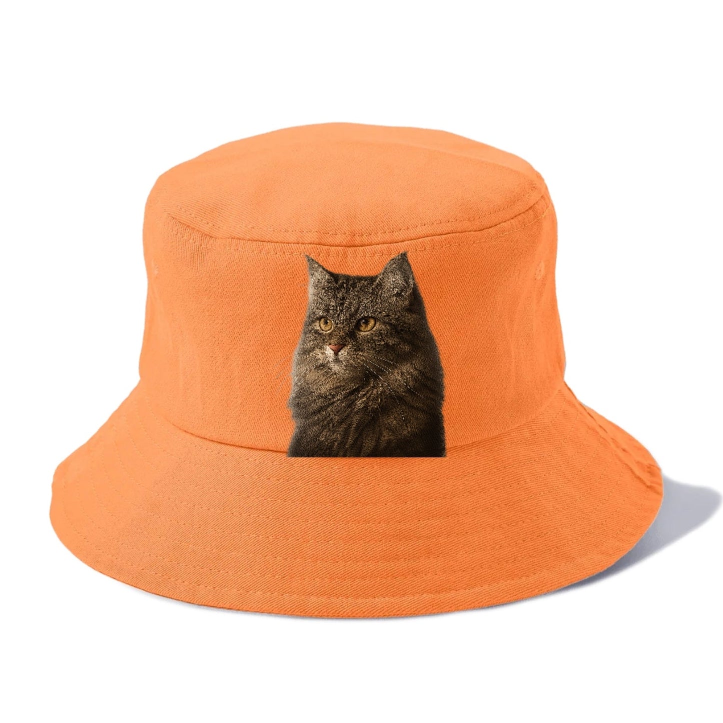 Domestic Longhair Graceful Charm Bucket Hat