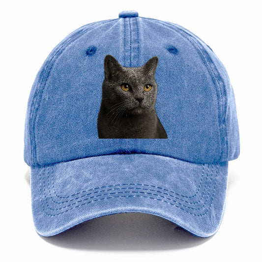 Chartreux Quiet Grace Classic Cap