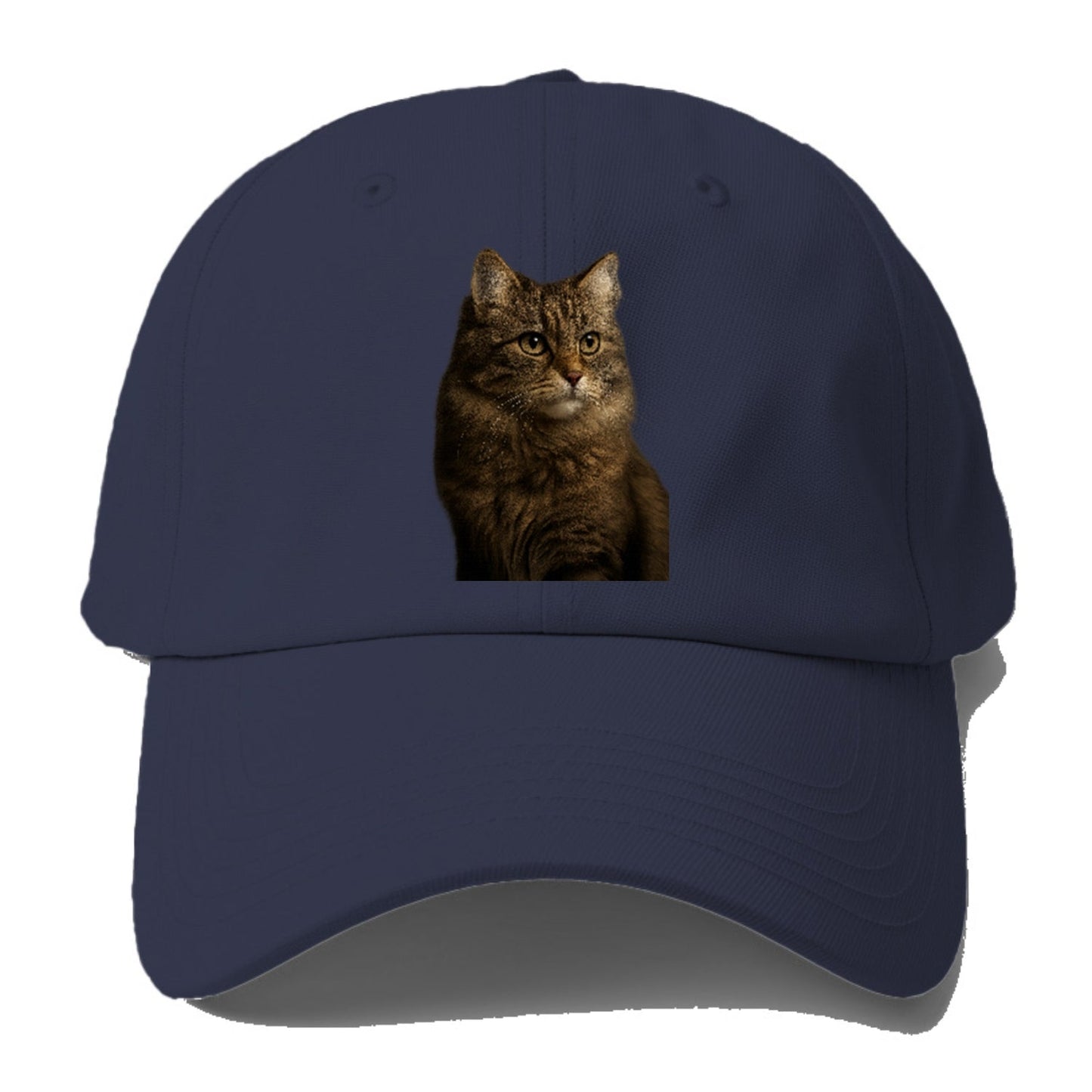 Domestic Longhair Graceful Flow Baseball Cap