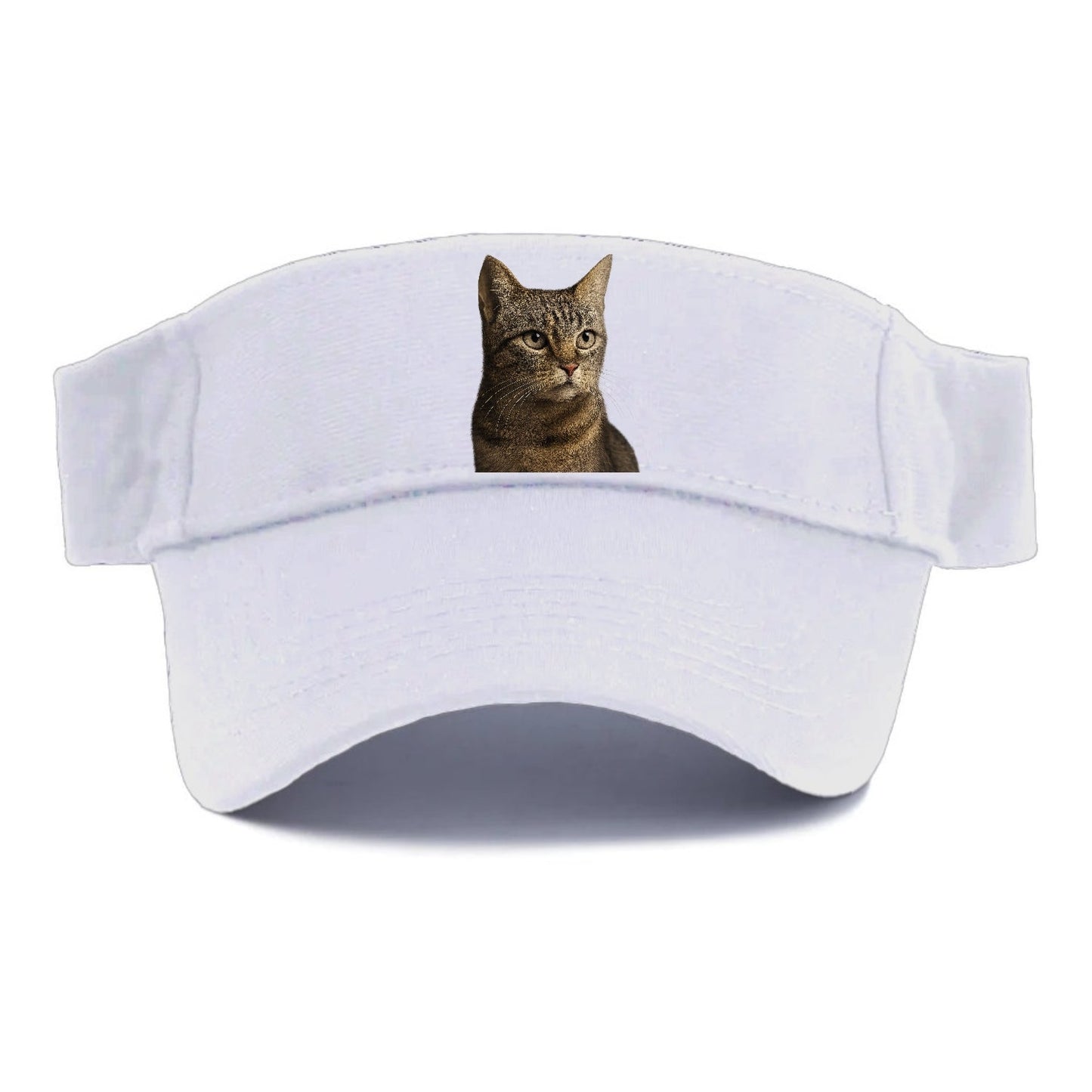 Stray Cat Resilient Spirit Visor