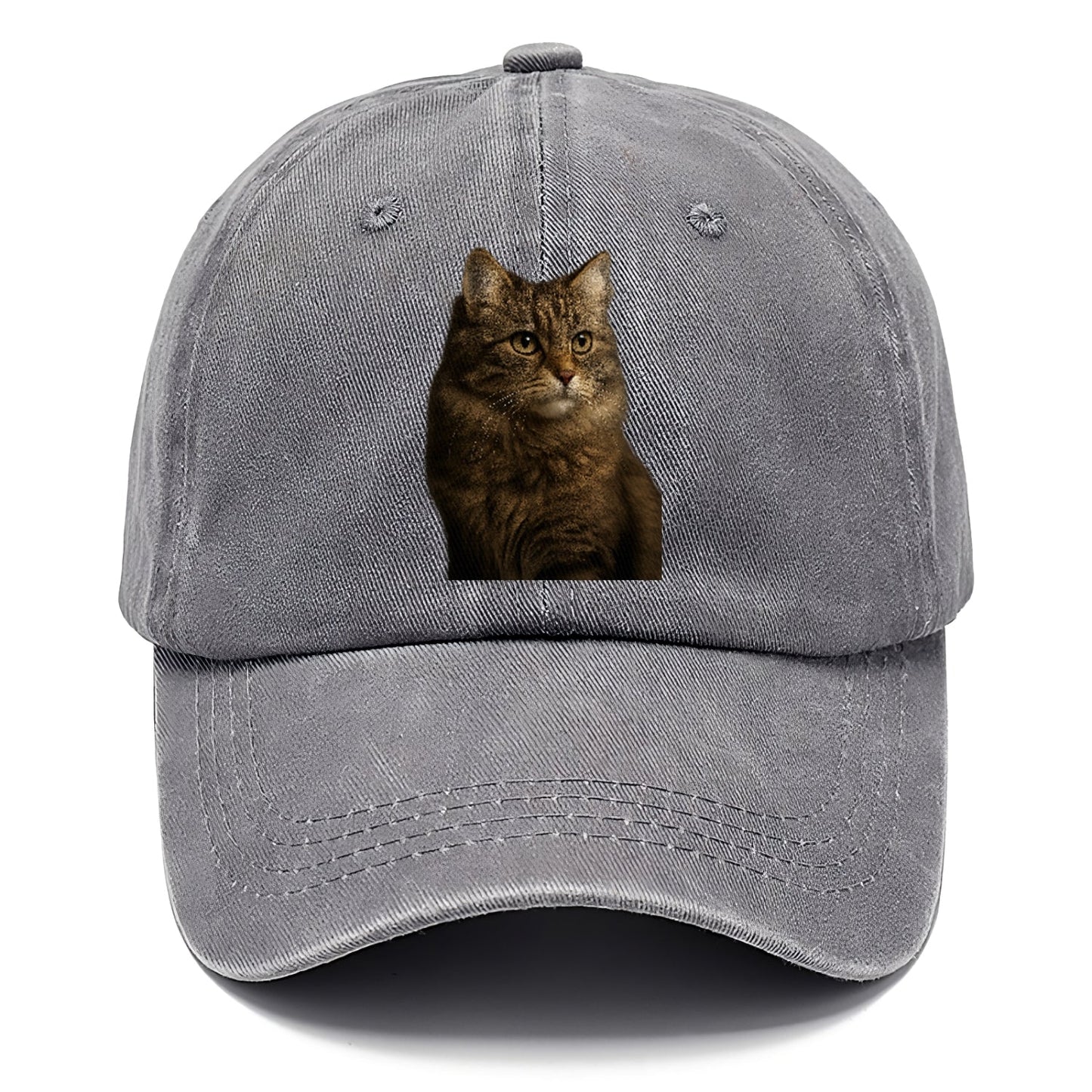 Domestic Longhair Graceful Flow Classic Cap