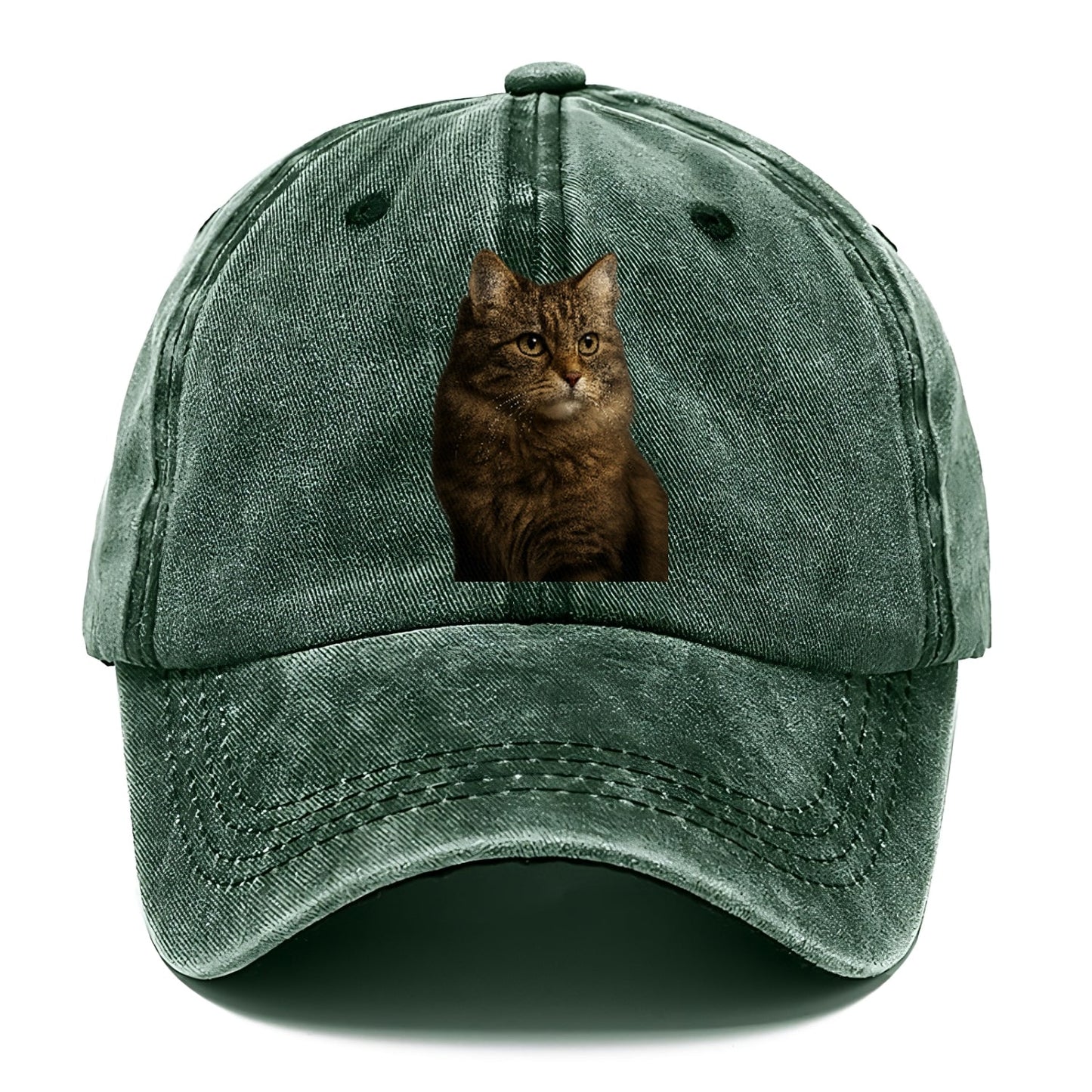 Domestic Longhair Graceful Flow Classic Cap
