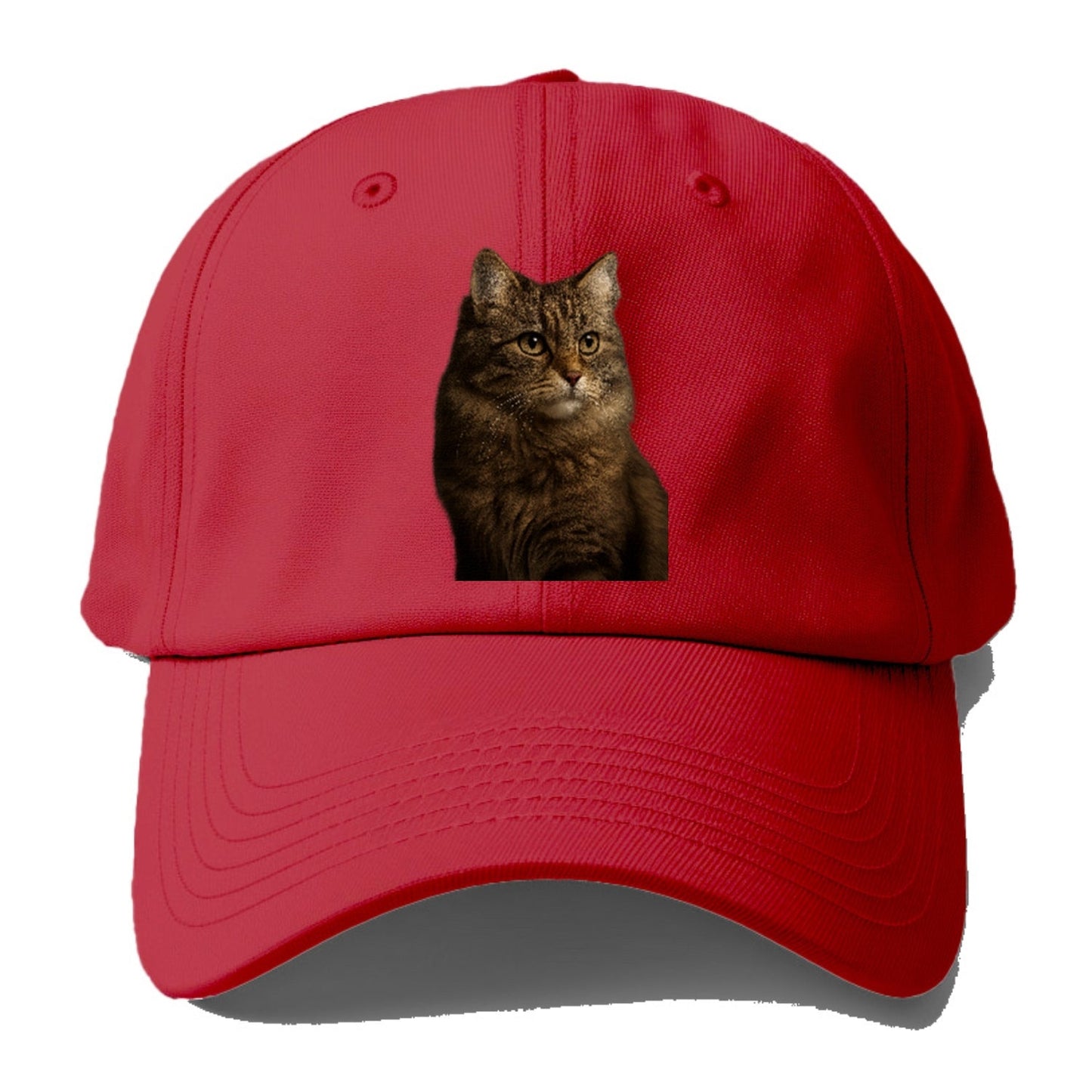 Domestic Longhair Graceful Flow Baseball Cap