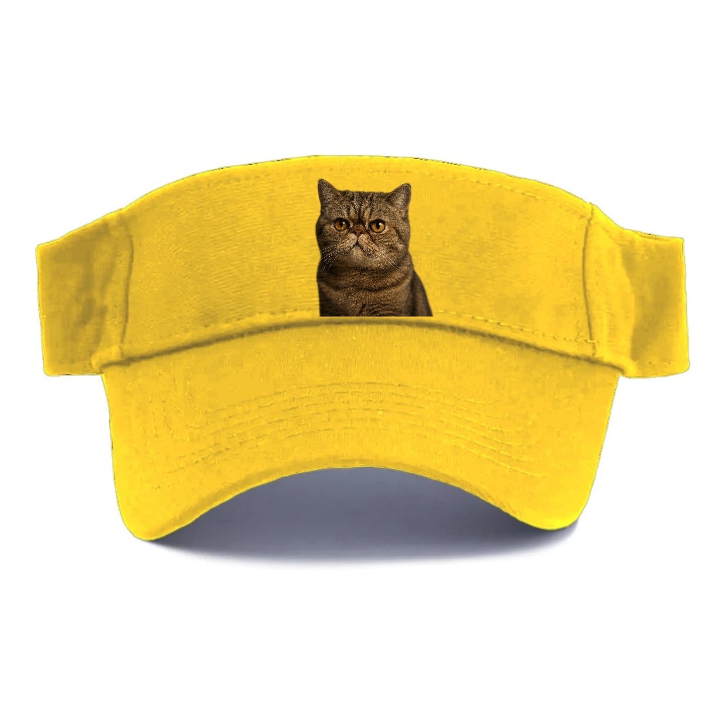 Exotic Shorthair Charm Visor