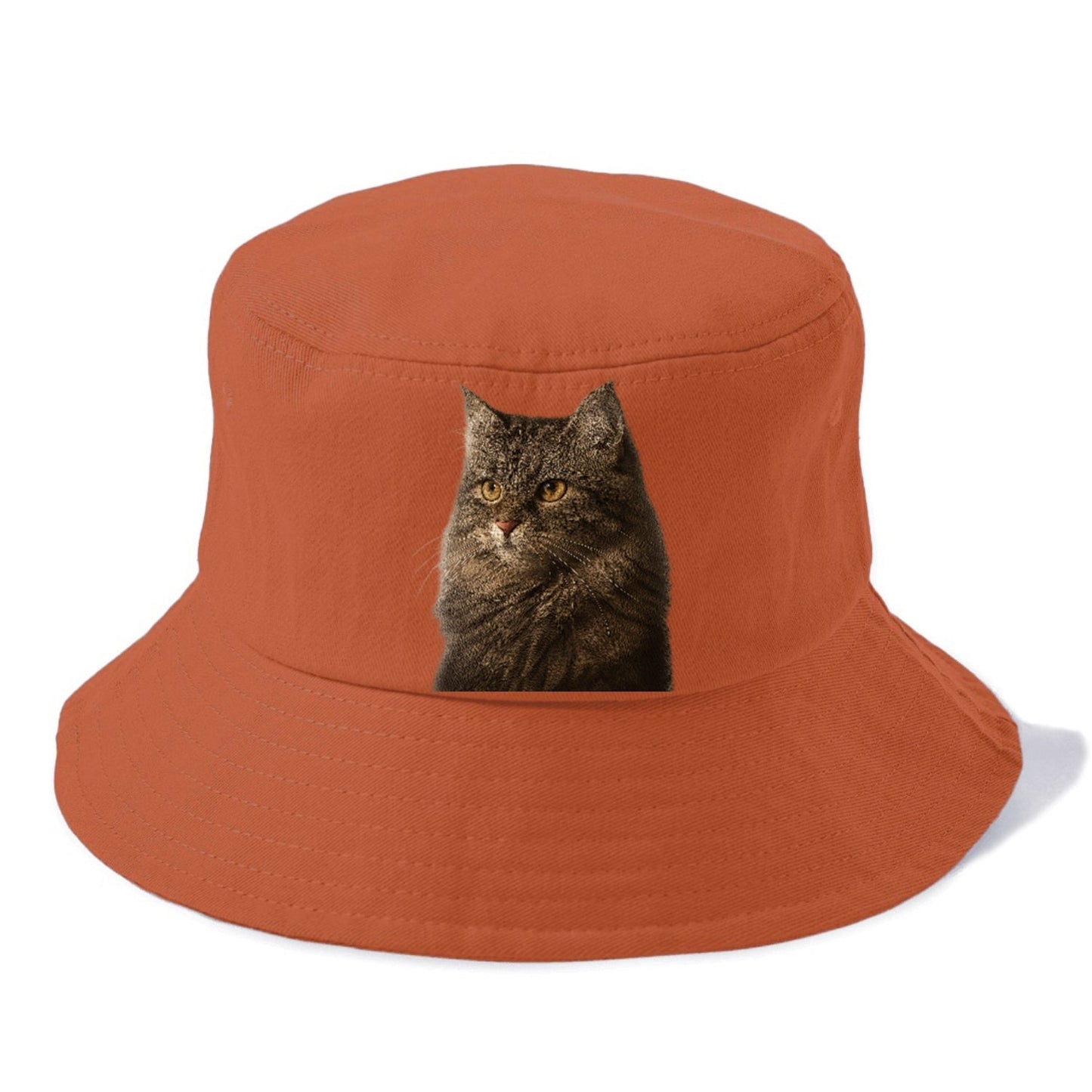 Domestic Longhair Graceful Charm Bucket Hat