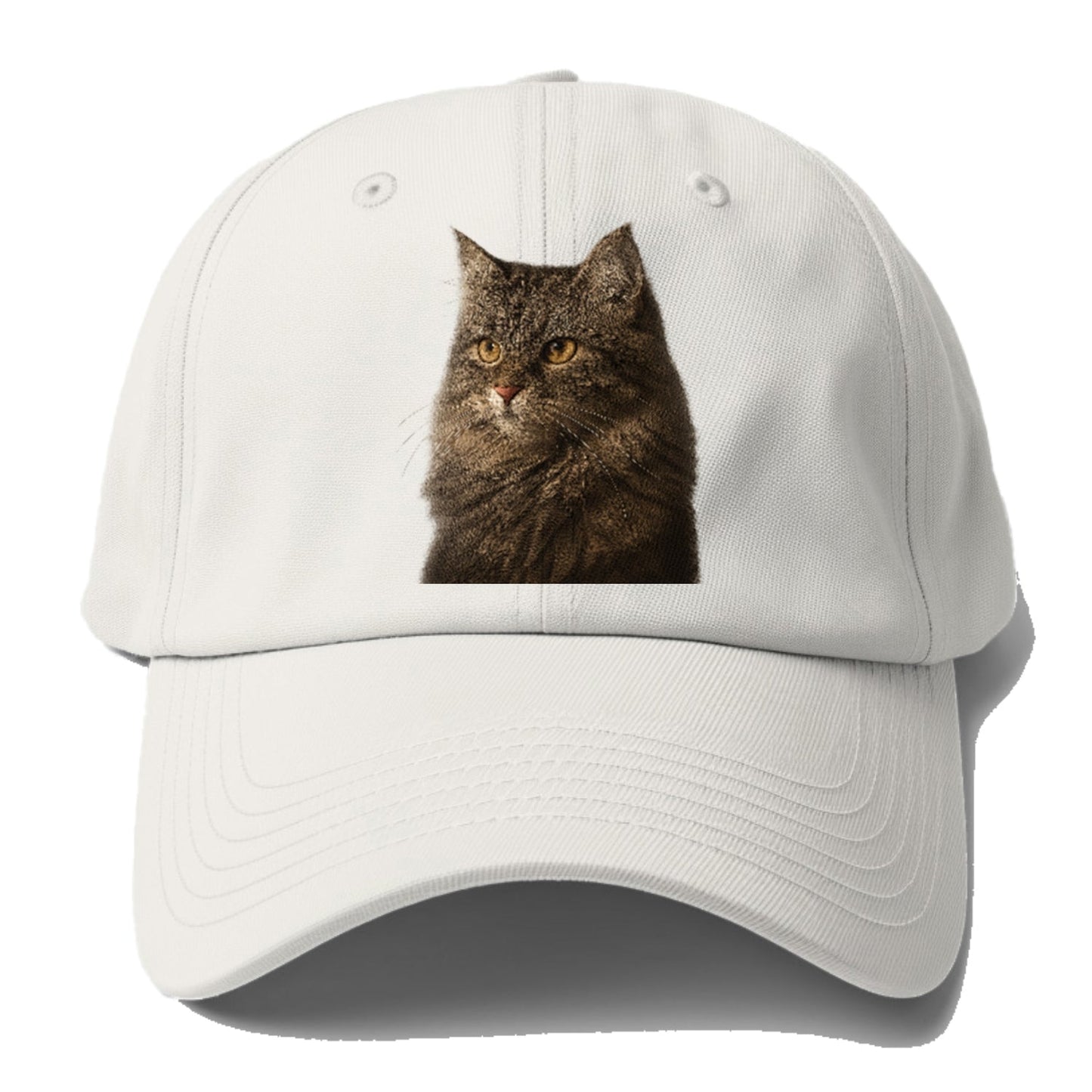 Domestic Longhair Graceful Charm Baseball Cap
