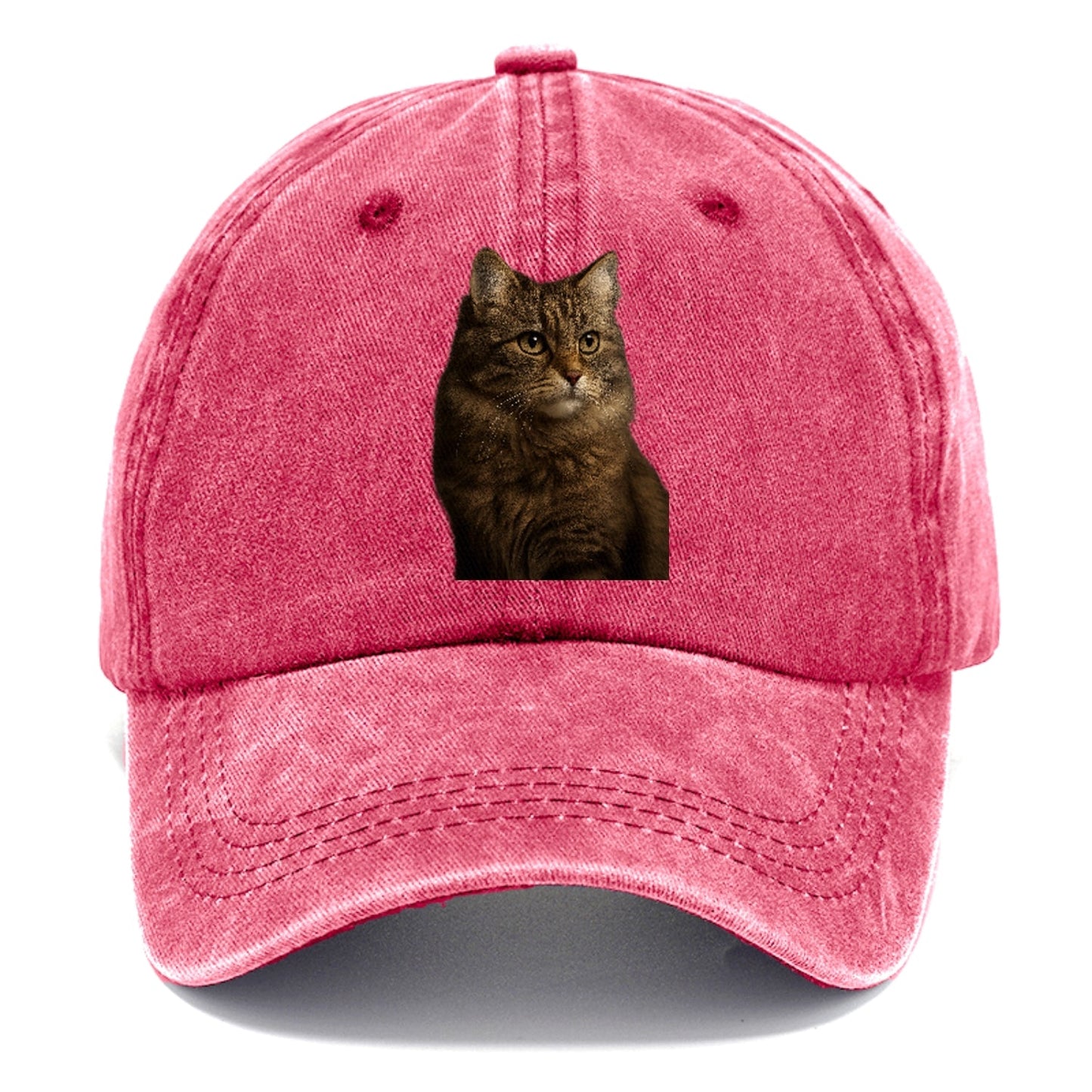 Domestic Longhair Graceful Flow Classic Cap