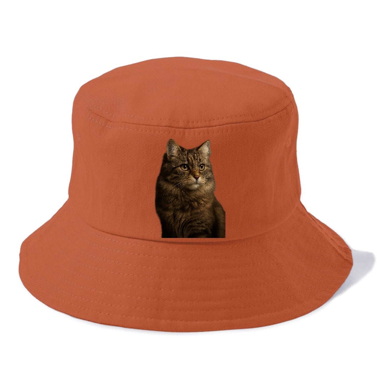 Domestic Longhair Graceful Flow Bucket Hat