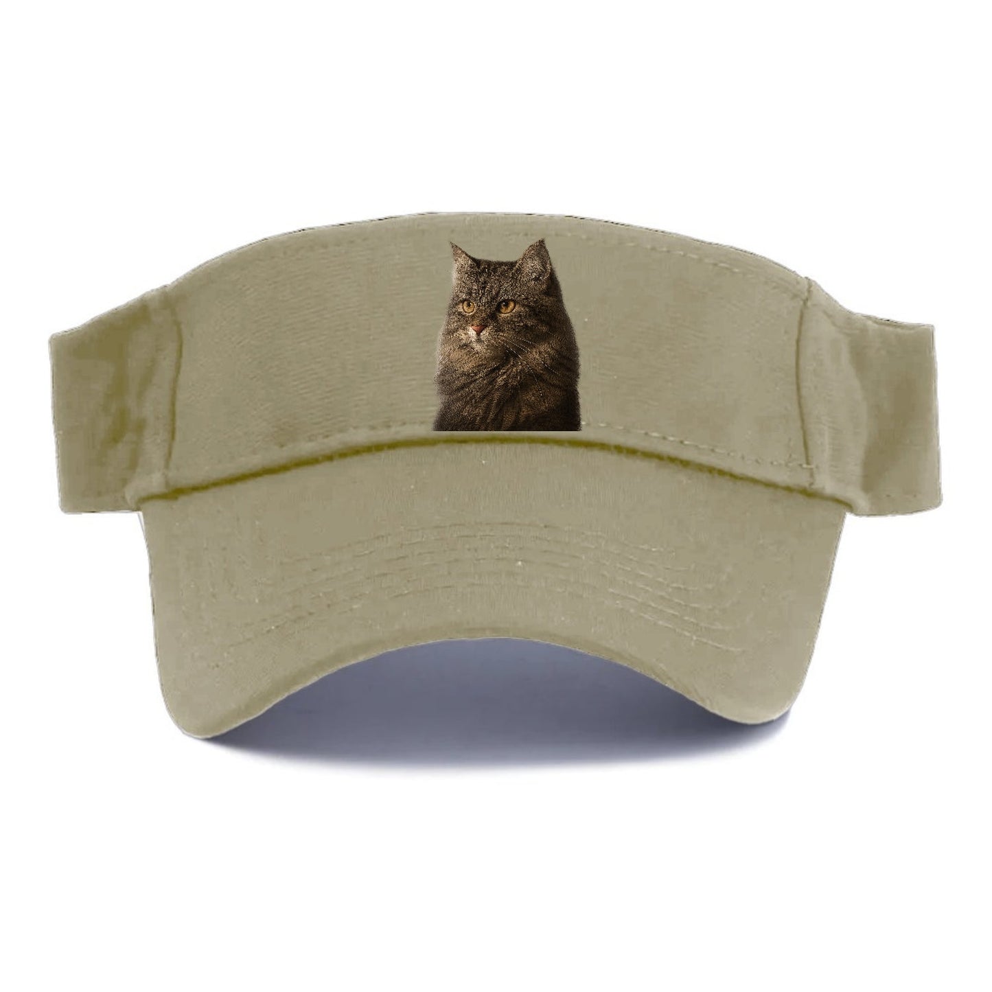 Domestic Longhair Graceful Charm Visor