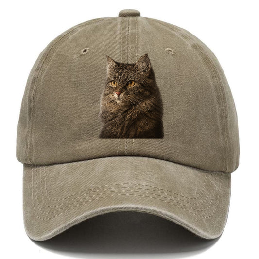 Domestic Longhair Graceful Charm Classic Cap