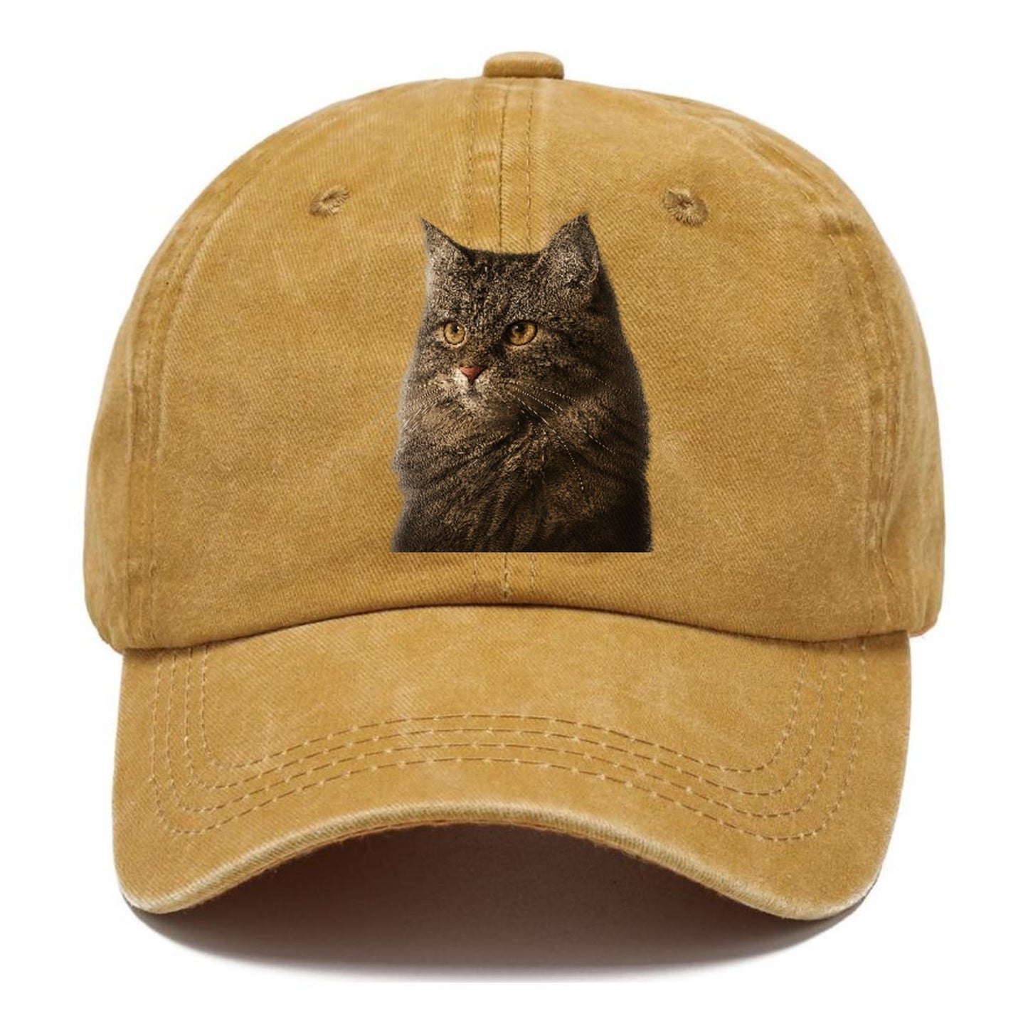 Domestic Longhair Graceful Charm Classic Cap