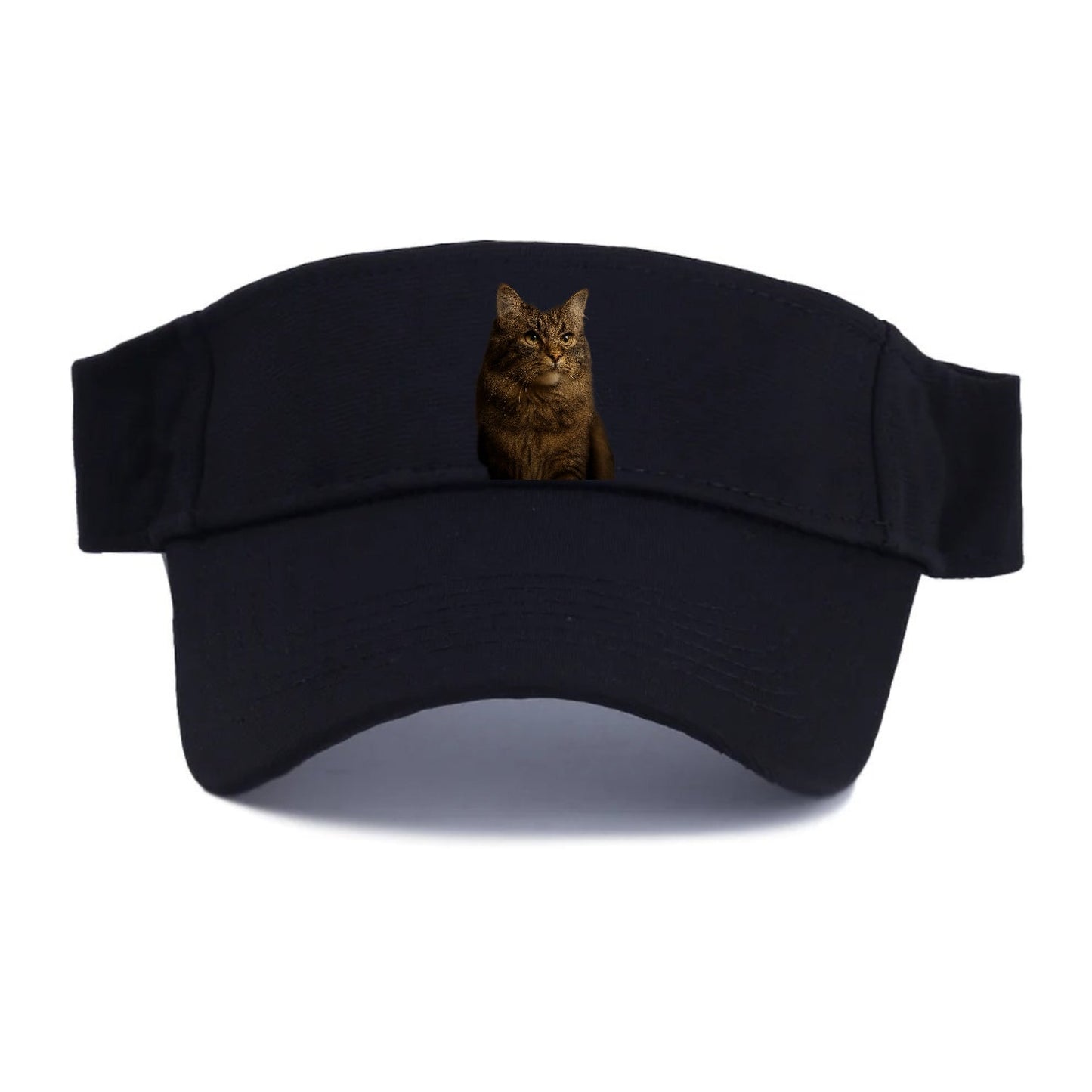 Regal Cymric Charm Visor