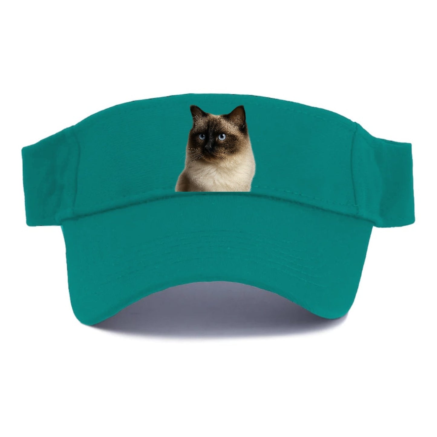 Ragdoll Gentle Demeanor Visor