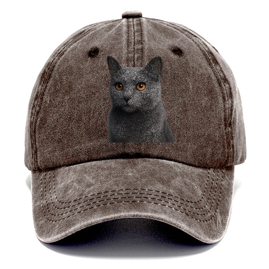Chartreux Regal Charm Classic Cap